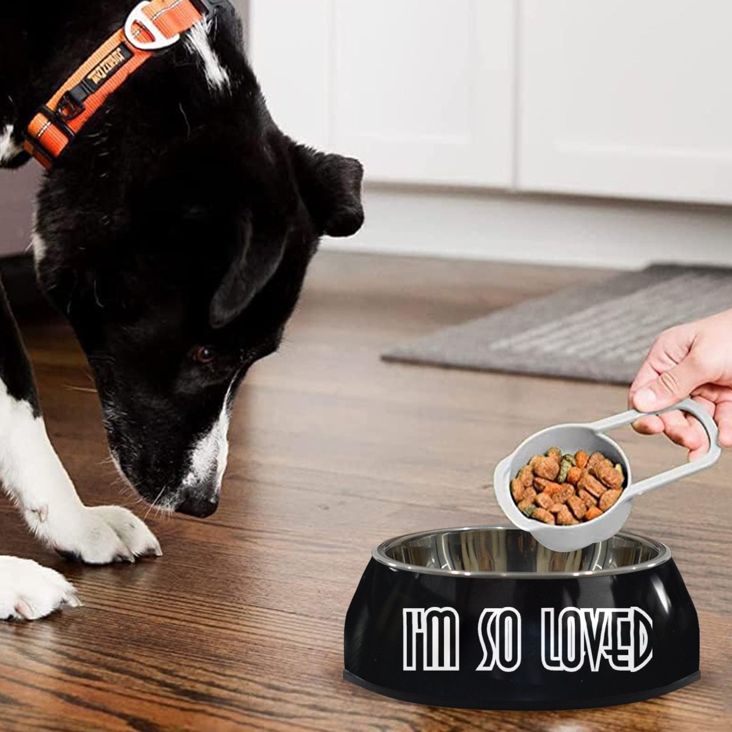 I'm So Loved Pet Bowl Pet Bowl
