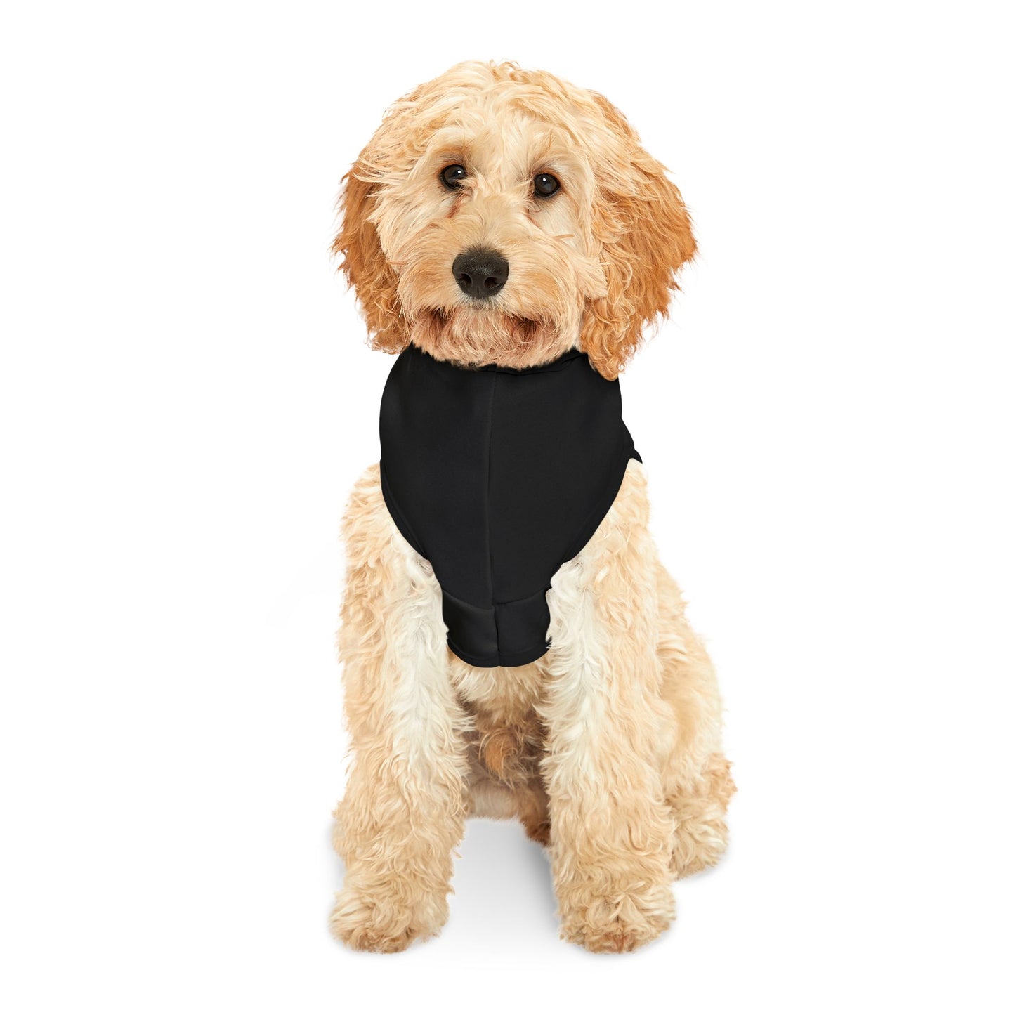 Swag Pet Hoodie #SP2
