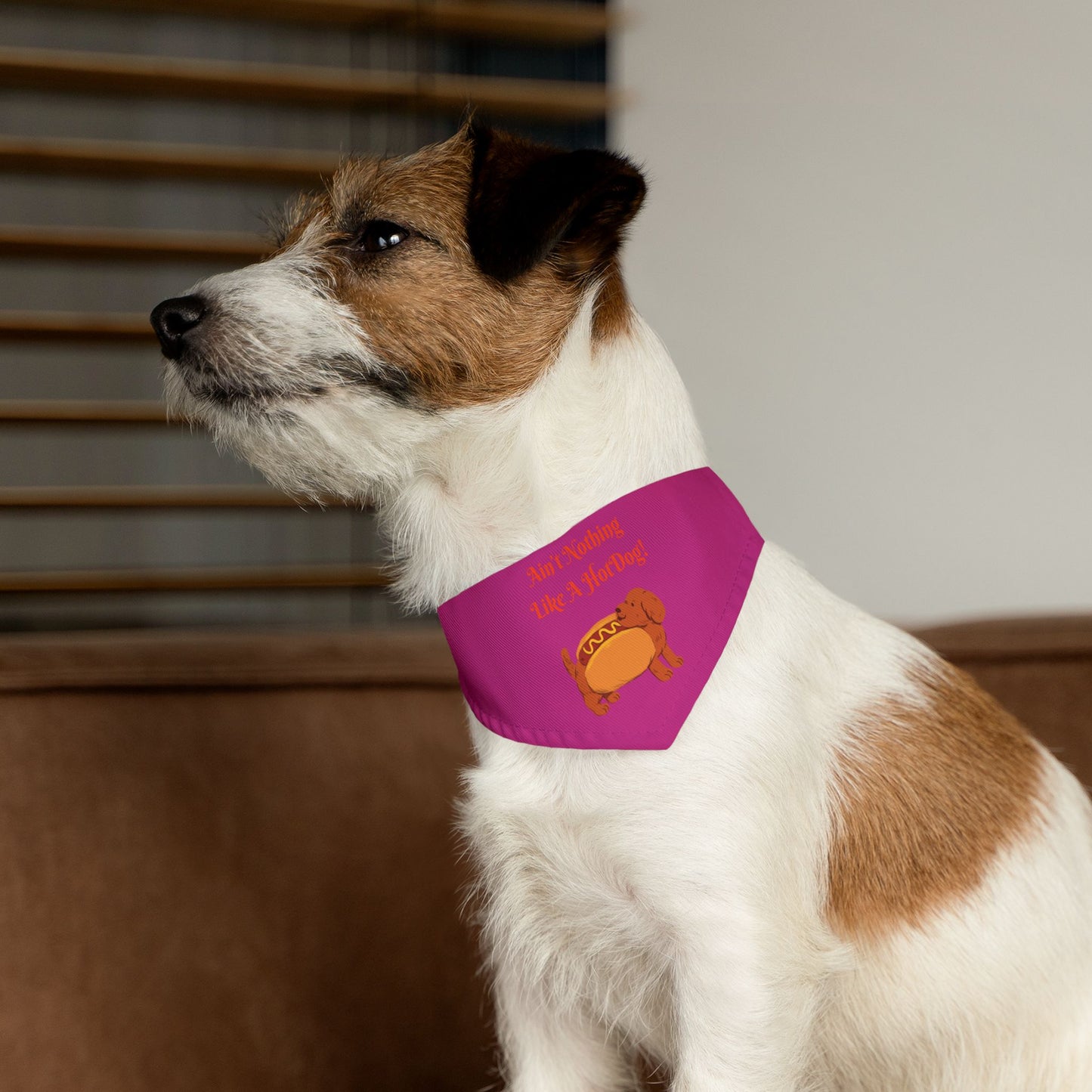 HotDog Pet Bandana Collar #HD4