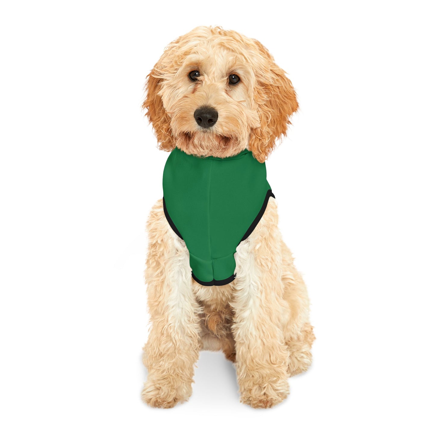 Swag Pet Hoodie #SP2