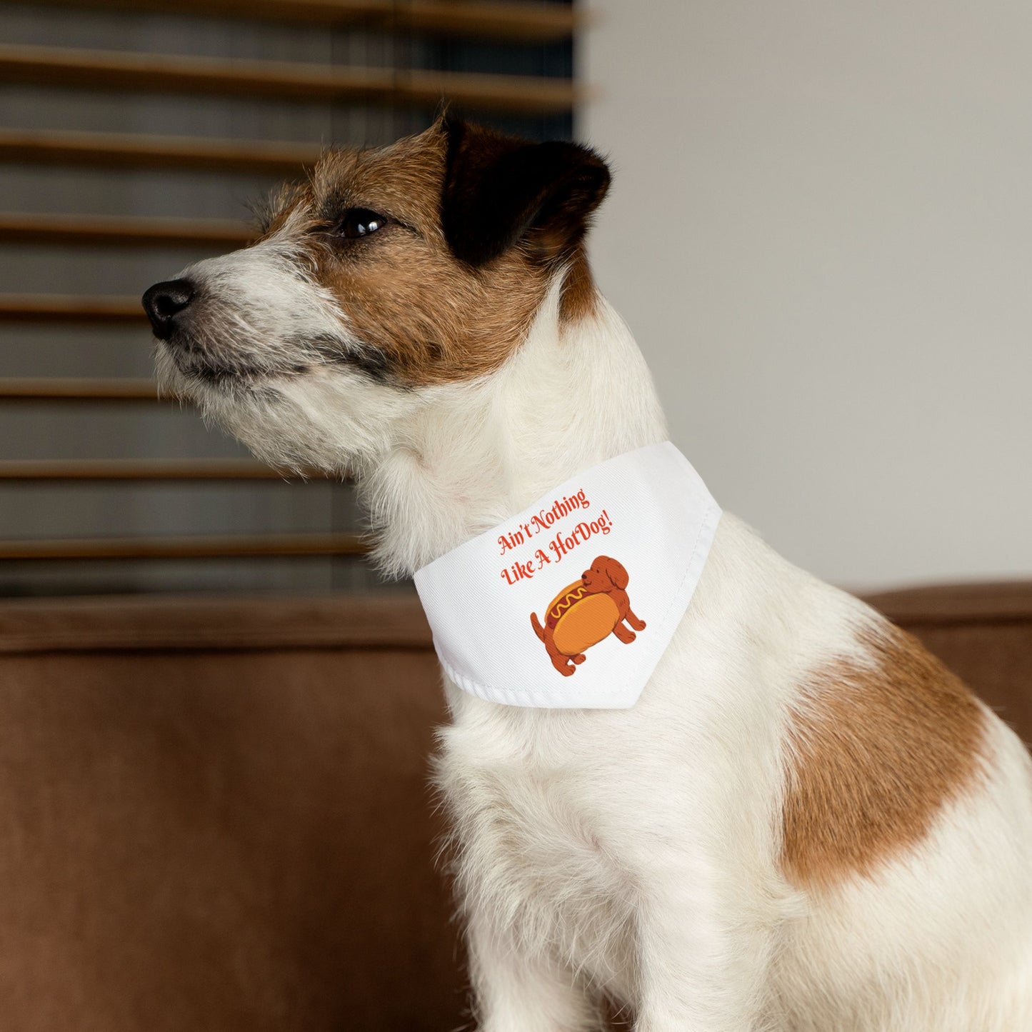 HotDog Pet Bandana Collar #HD6