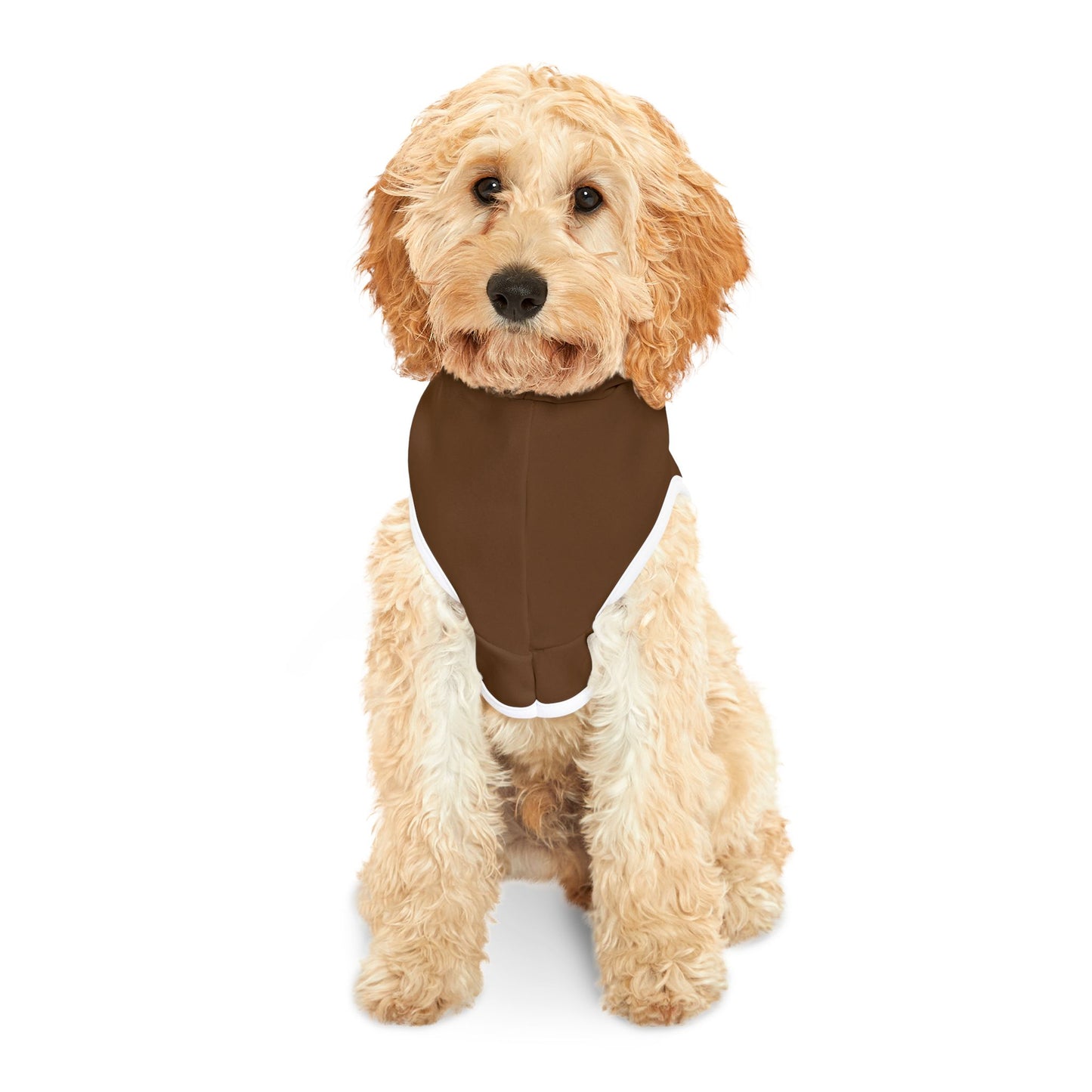 Swag Pet Hoodie #SP2
