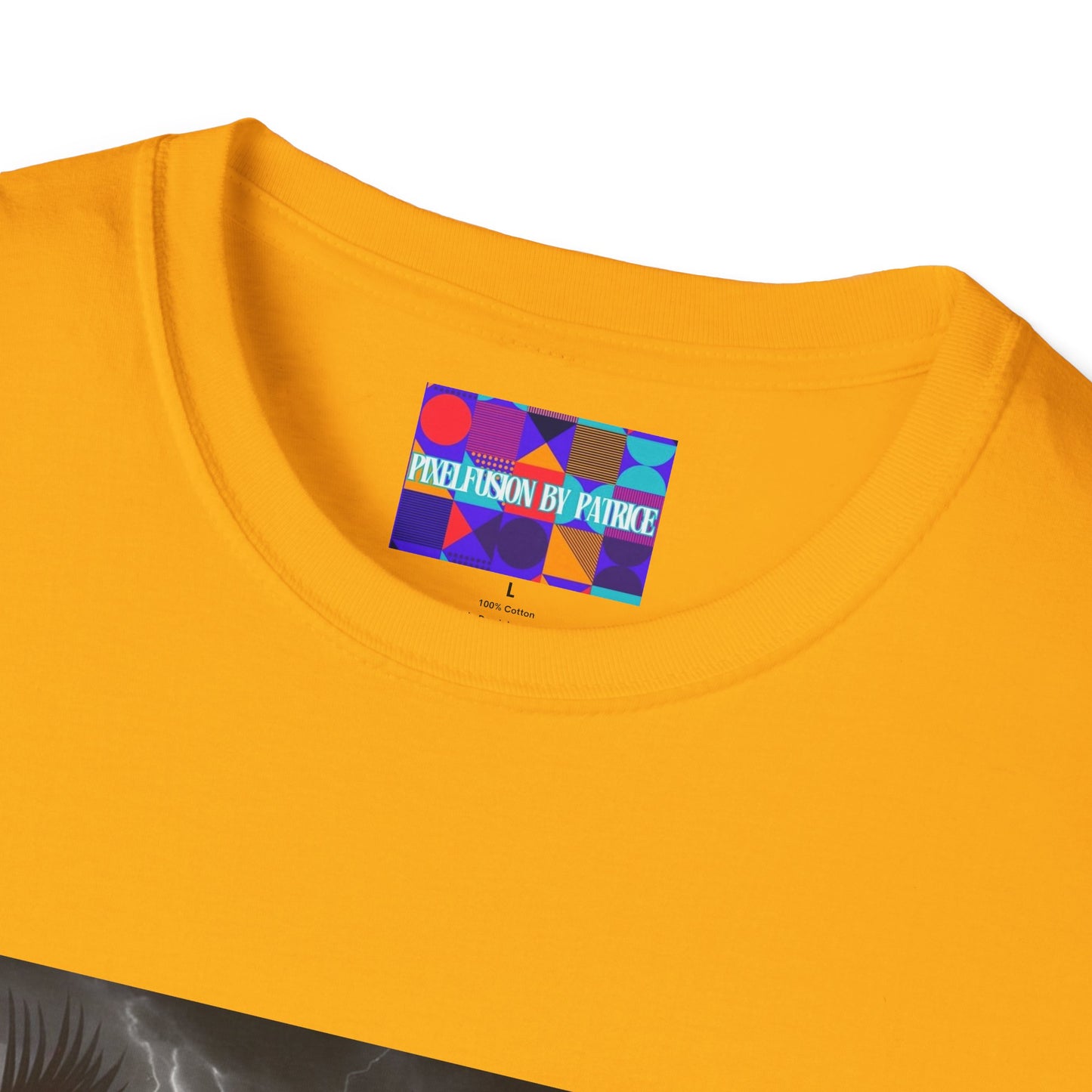 Warrior Within Unisex Softstyle T-Shirt #17U