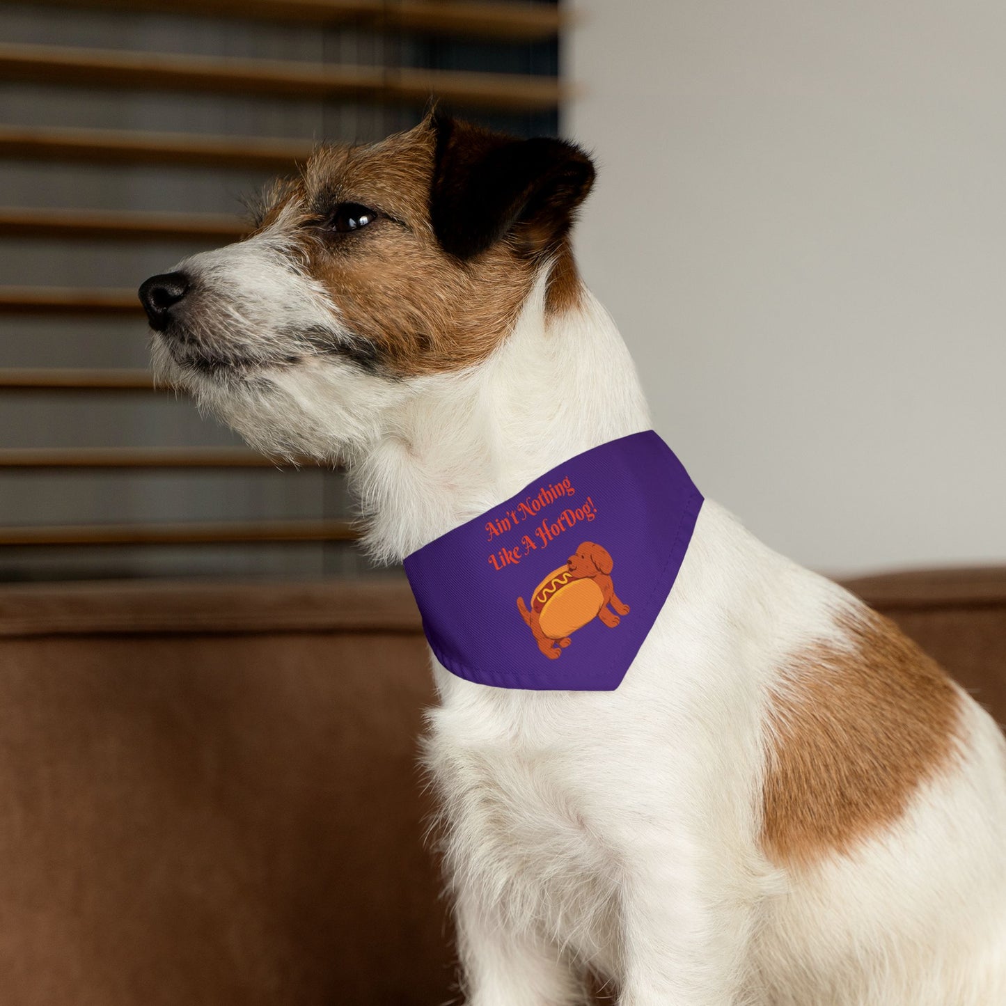 HotDog Pet Bandana Collar #HD3