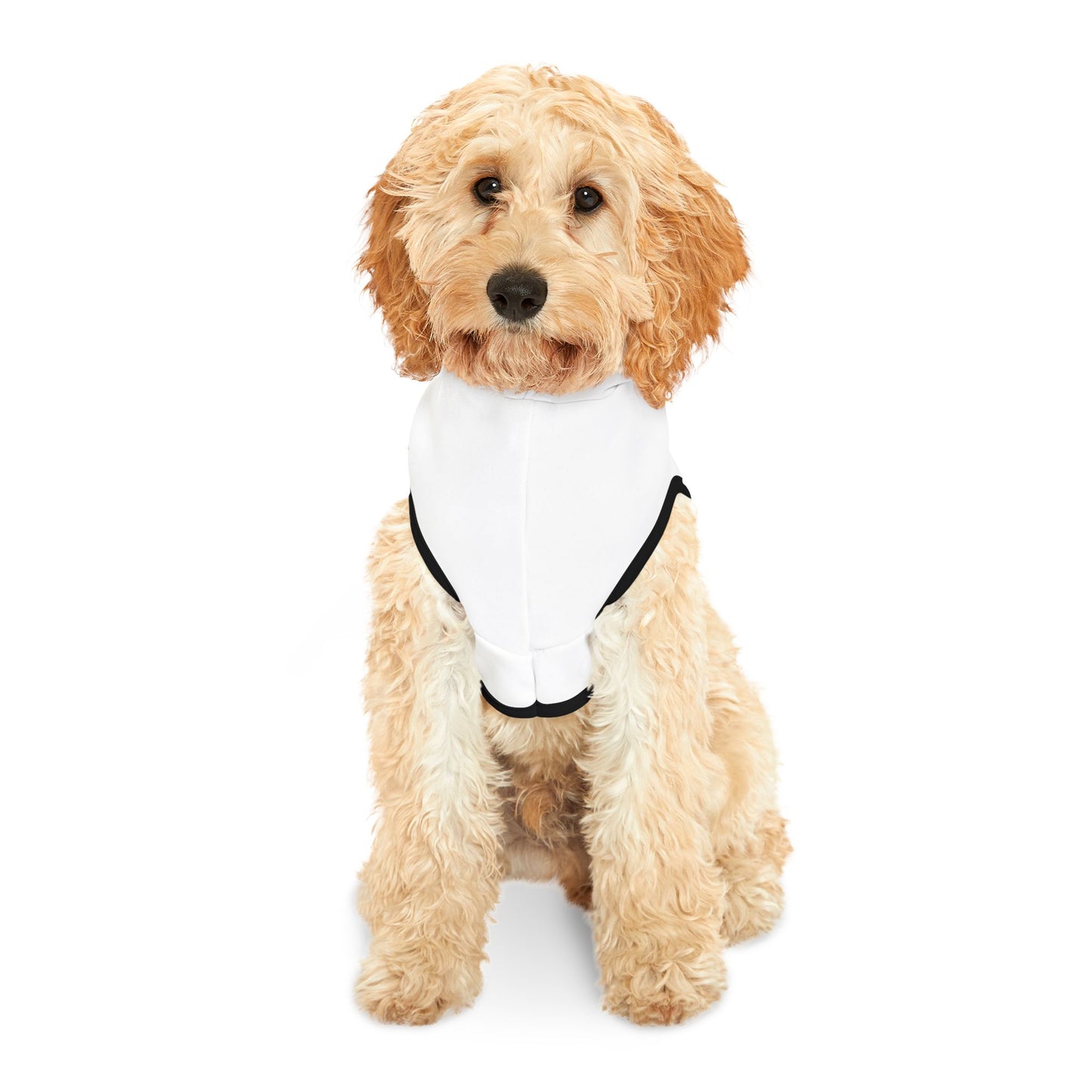 Swag Pet Hoodie #SP1
