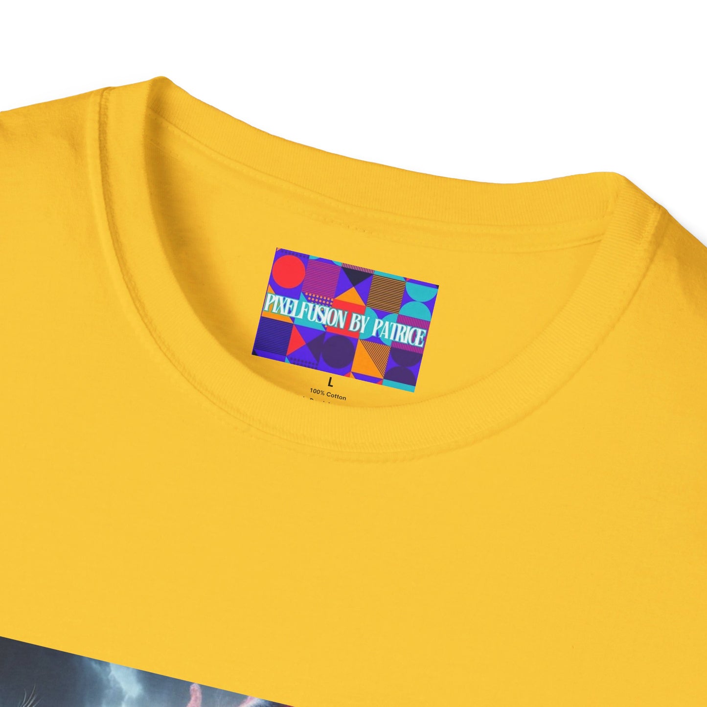 Warrior of Truth Unisex Softstyle T-Shirt #22U