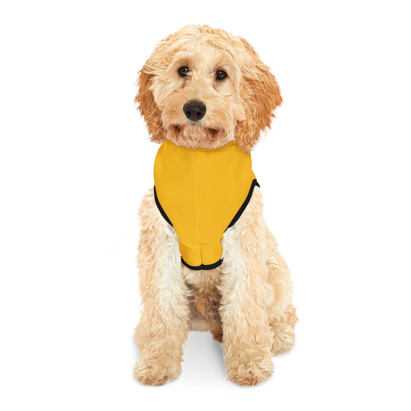 Ain't Nothing Like A HotDog Pet Hoodie #ANLH3