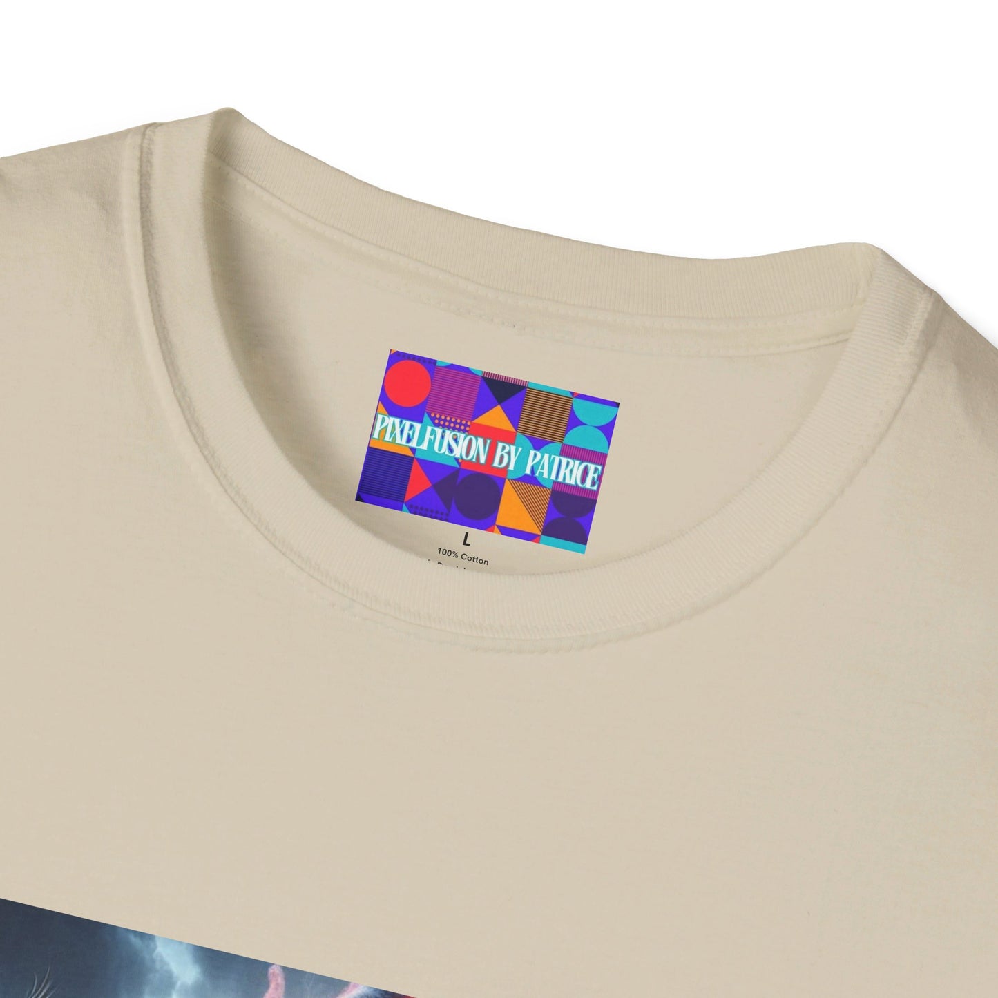 Warrior of Truth Unisex Softstyle T-Shirt #22U