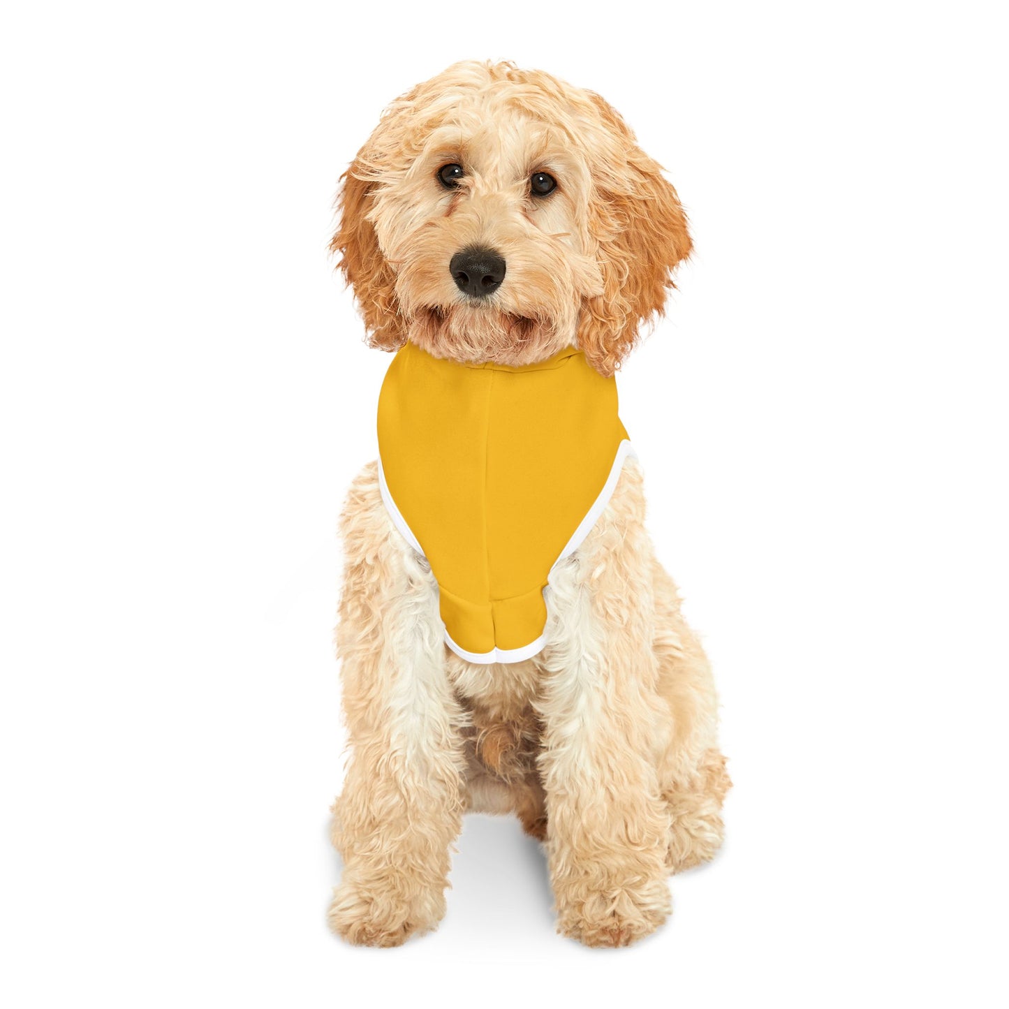 Ain't Nothing Like A HotDog Pet Hoodie #ANLH3