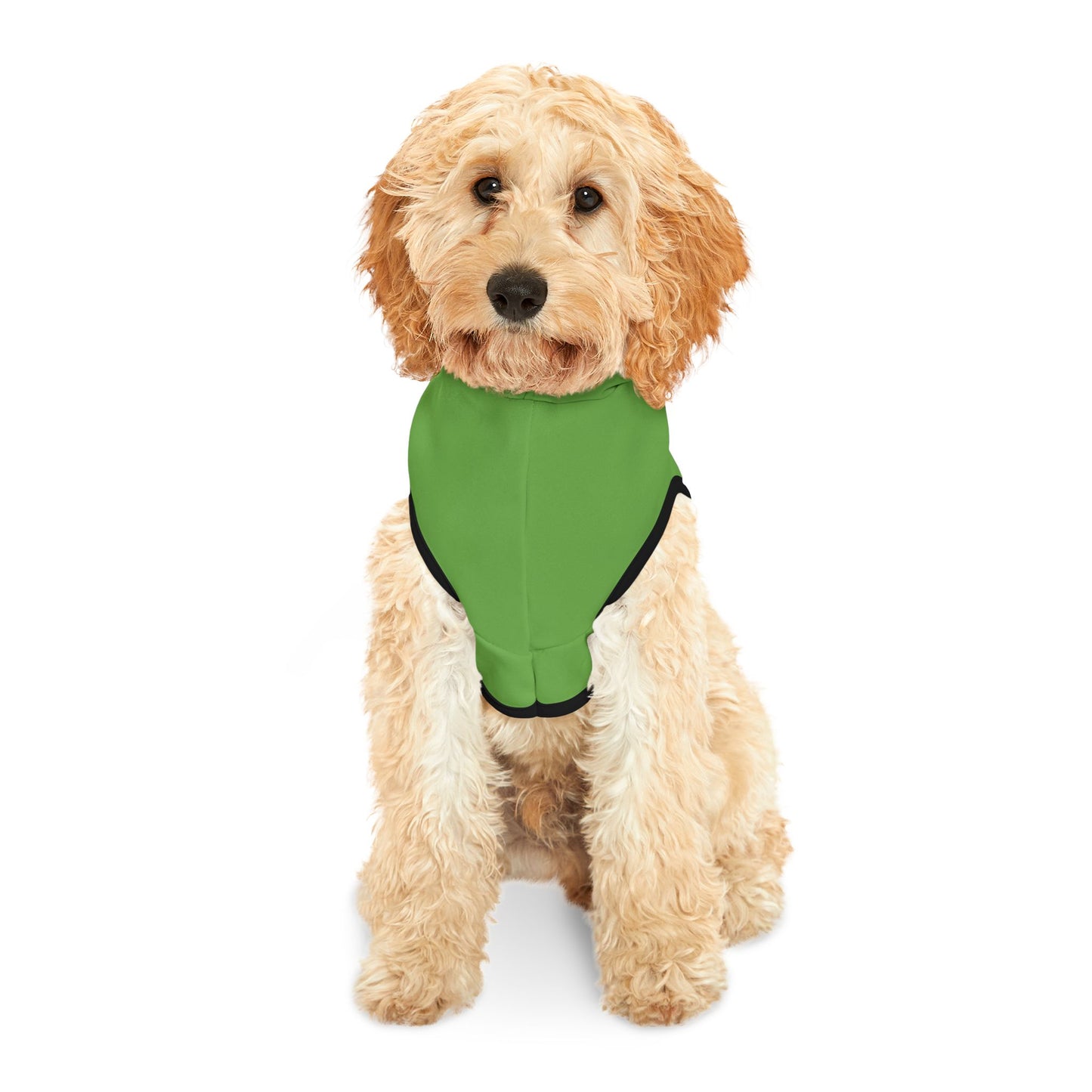 Swag Pet Hoodie #SP2