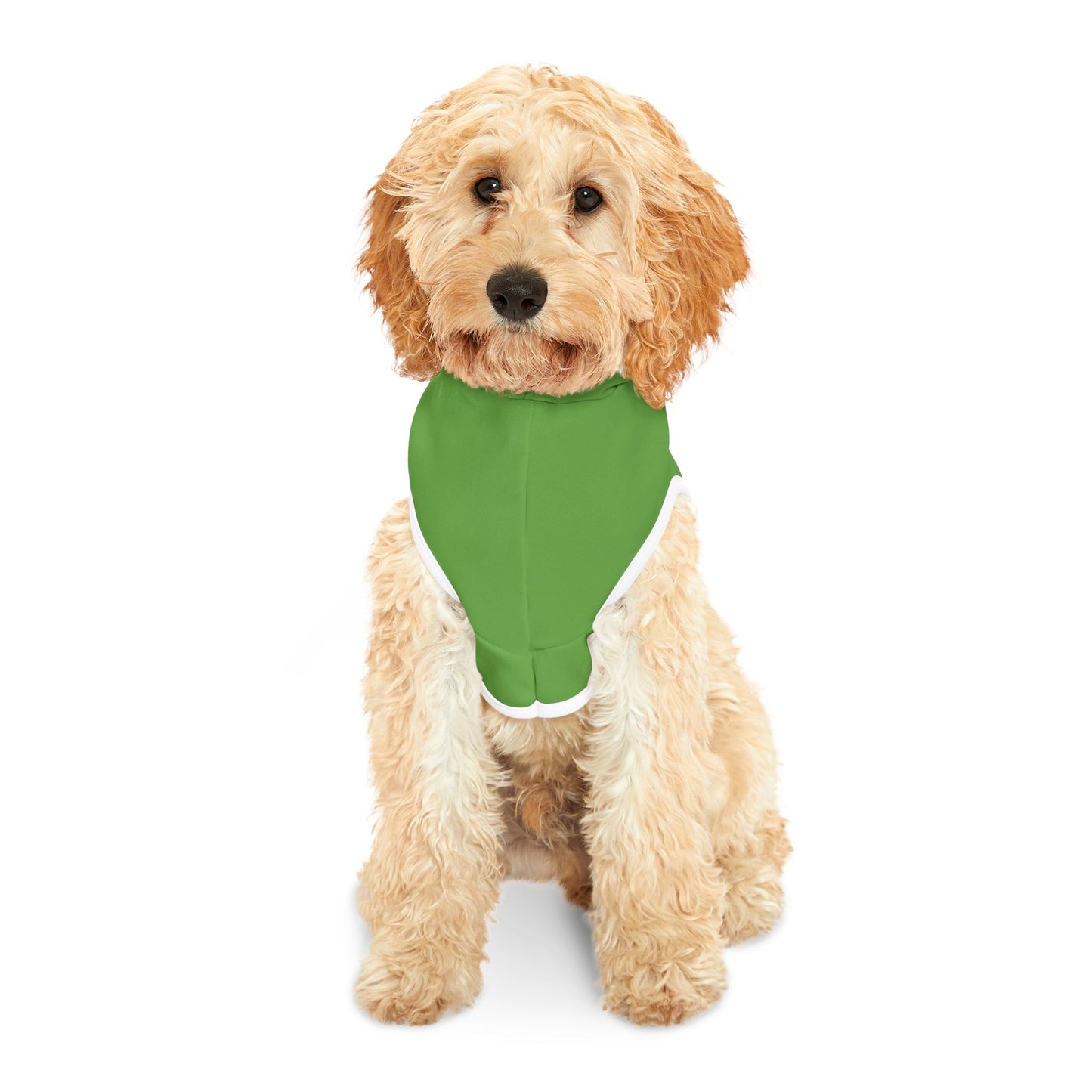 Swag Pet Hoodie #SP2