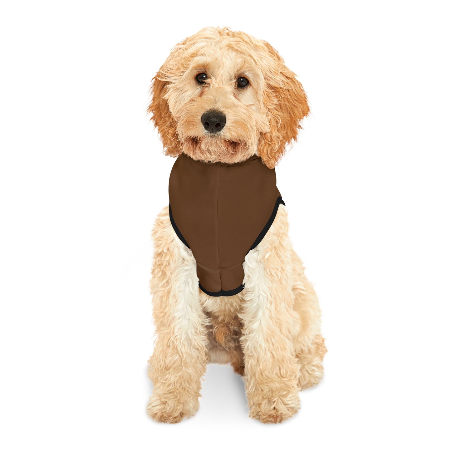 Swag Pet Hoodie #SP2