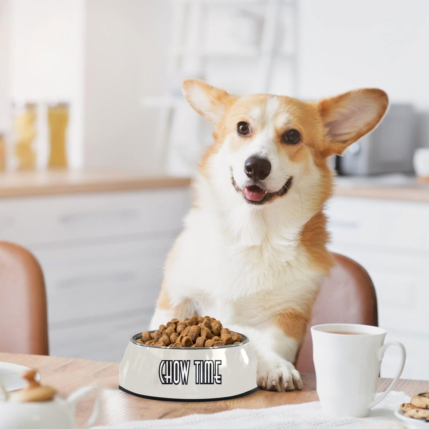 Chow Time Pet Bowl Pet Bowl