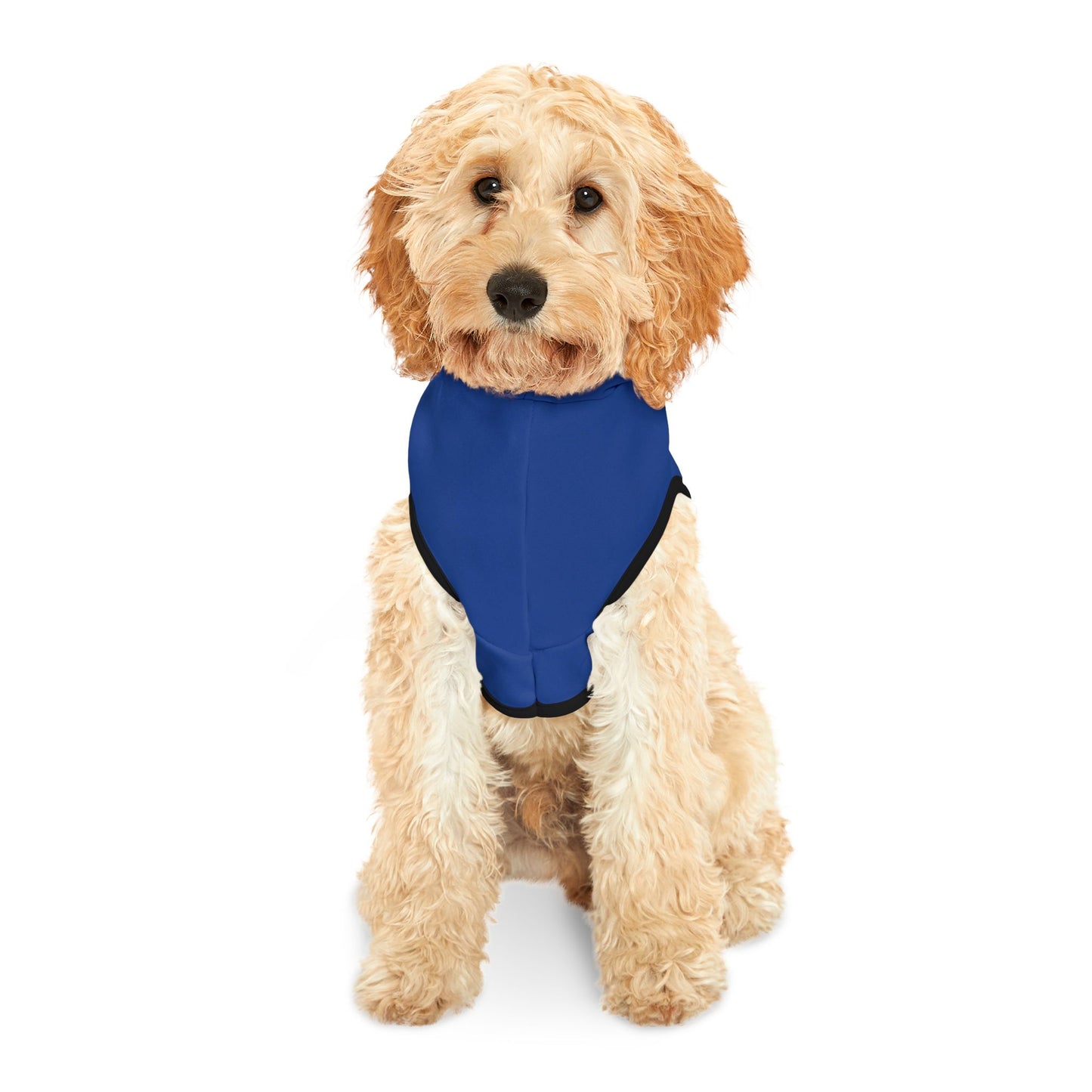 Swag Pet Hoodie #SP2