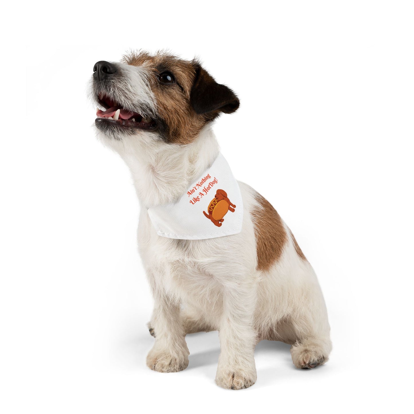 HotDog Pet Bandana Collar #HD6