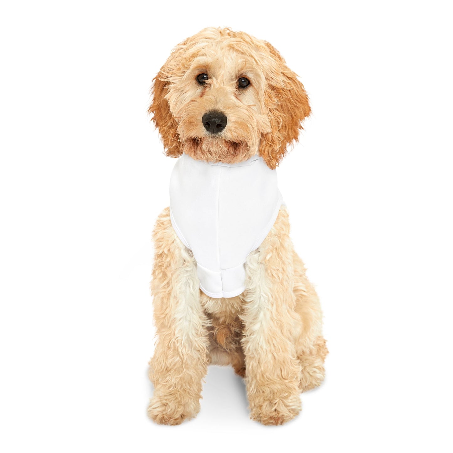 Ain't Nothing Like A HotDog Pet Hoodie #ANLH3