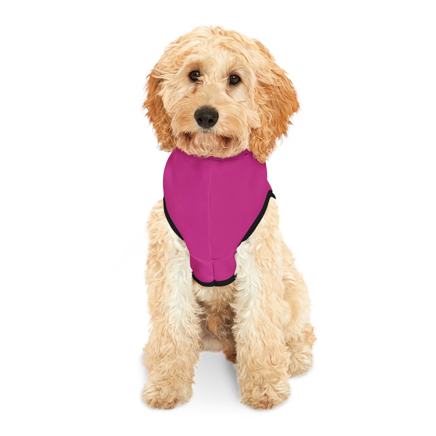 Swag Pet Hoodie #SP1