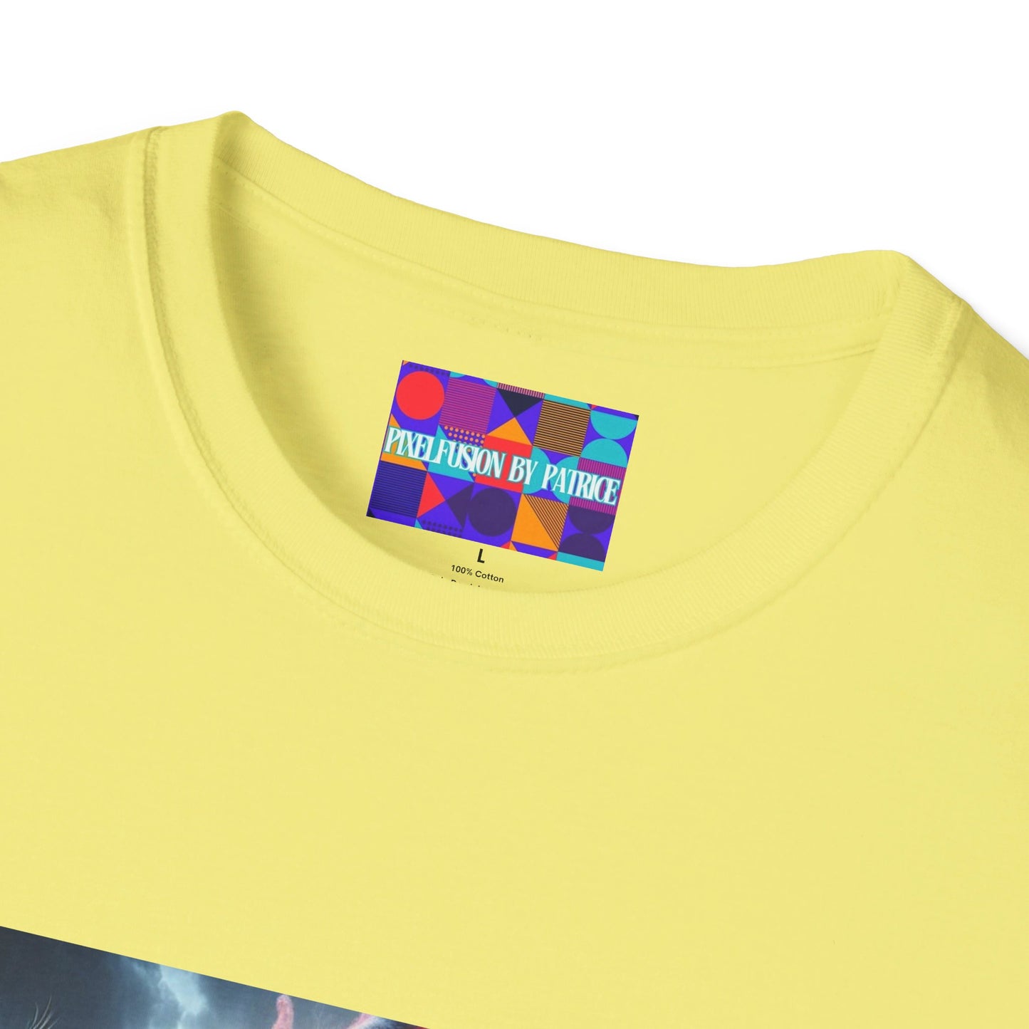 Warrior of Truth Unisex Softstyle T-Shirt #22U