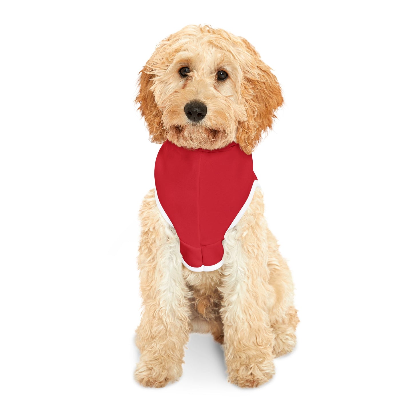 Ain't Nothing Like A HotDog Pet Hoodie #ANLH3
