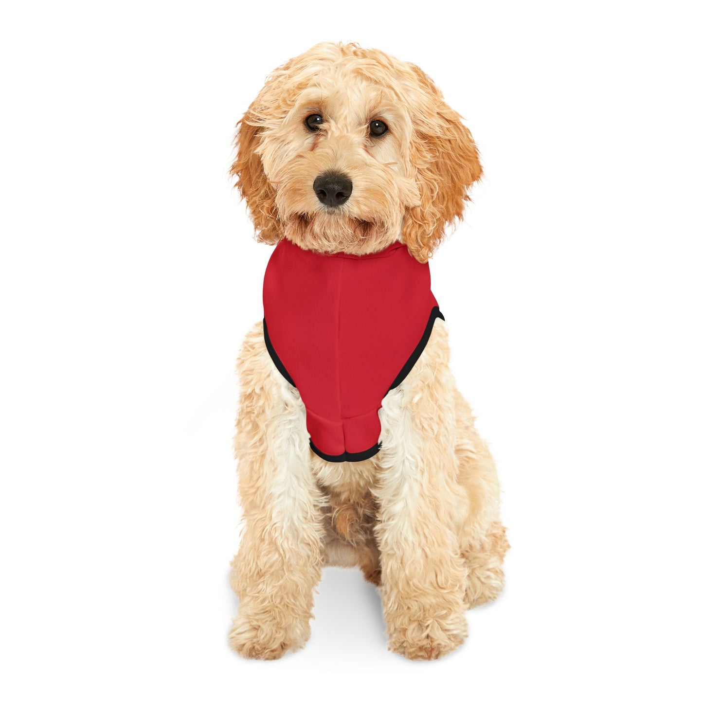 Swag Pet Hoodie #SP1