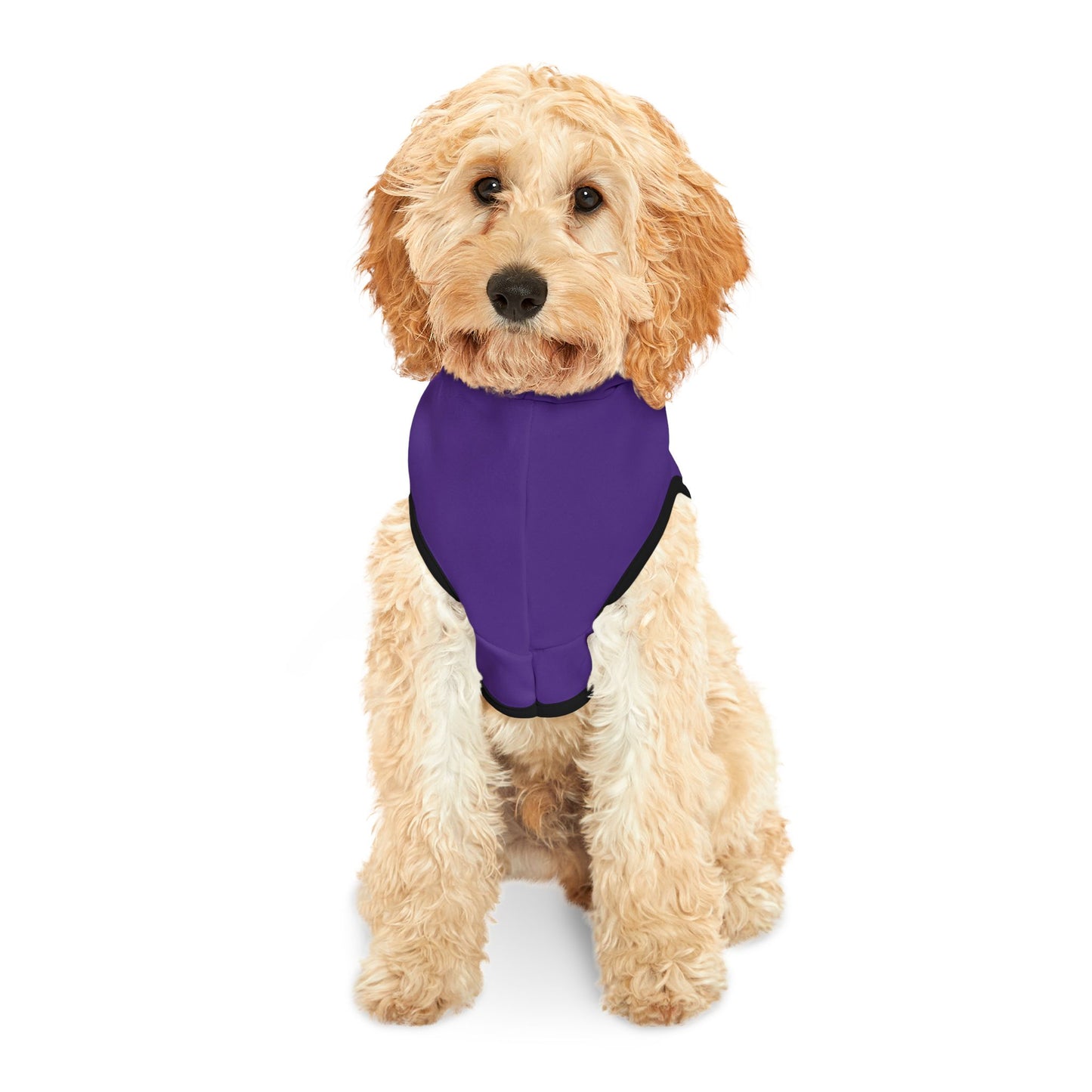 Swag Pet Hoodie #SP2