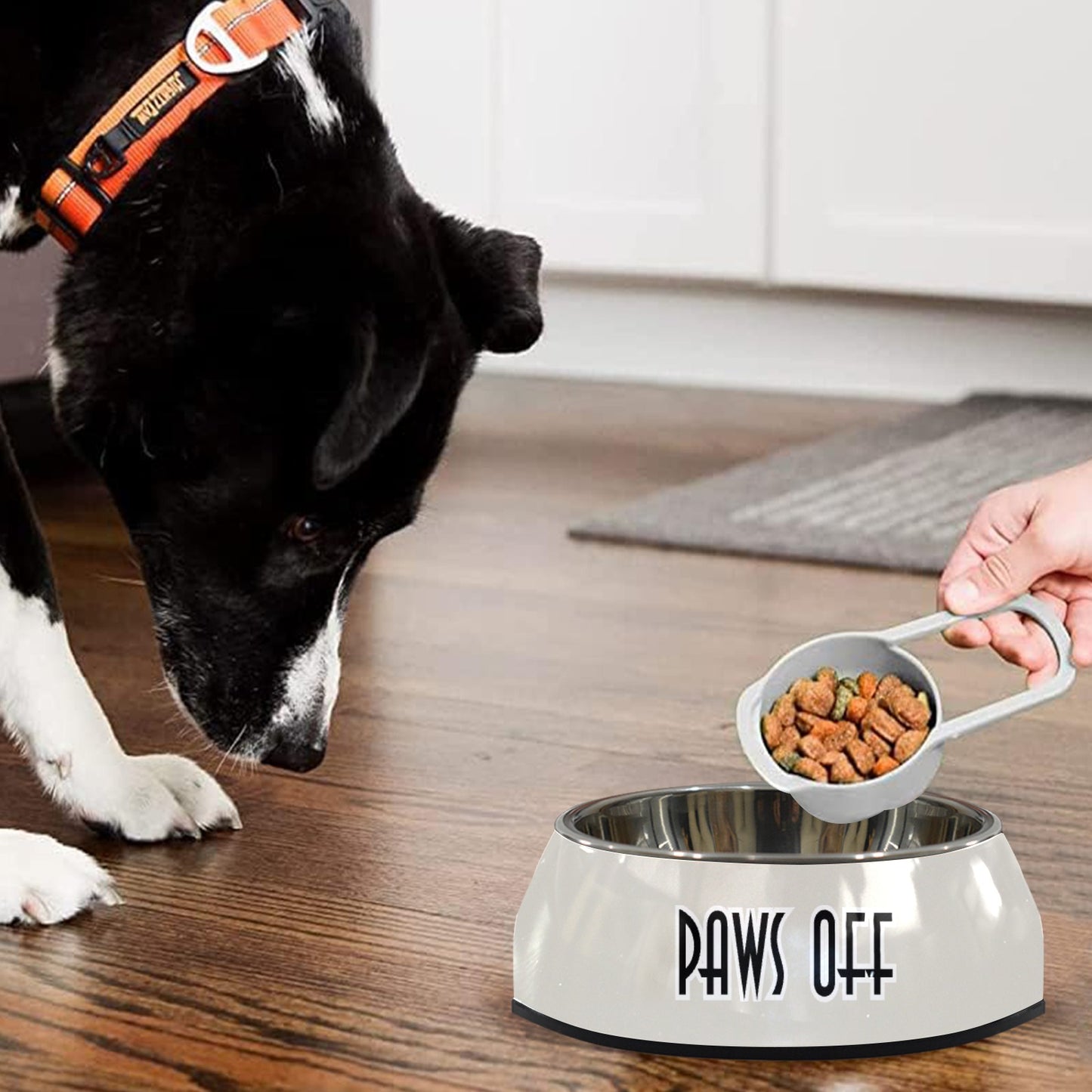 Paws Off Pet Bowl Pet Bowl