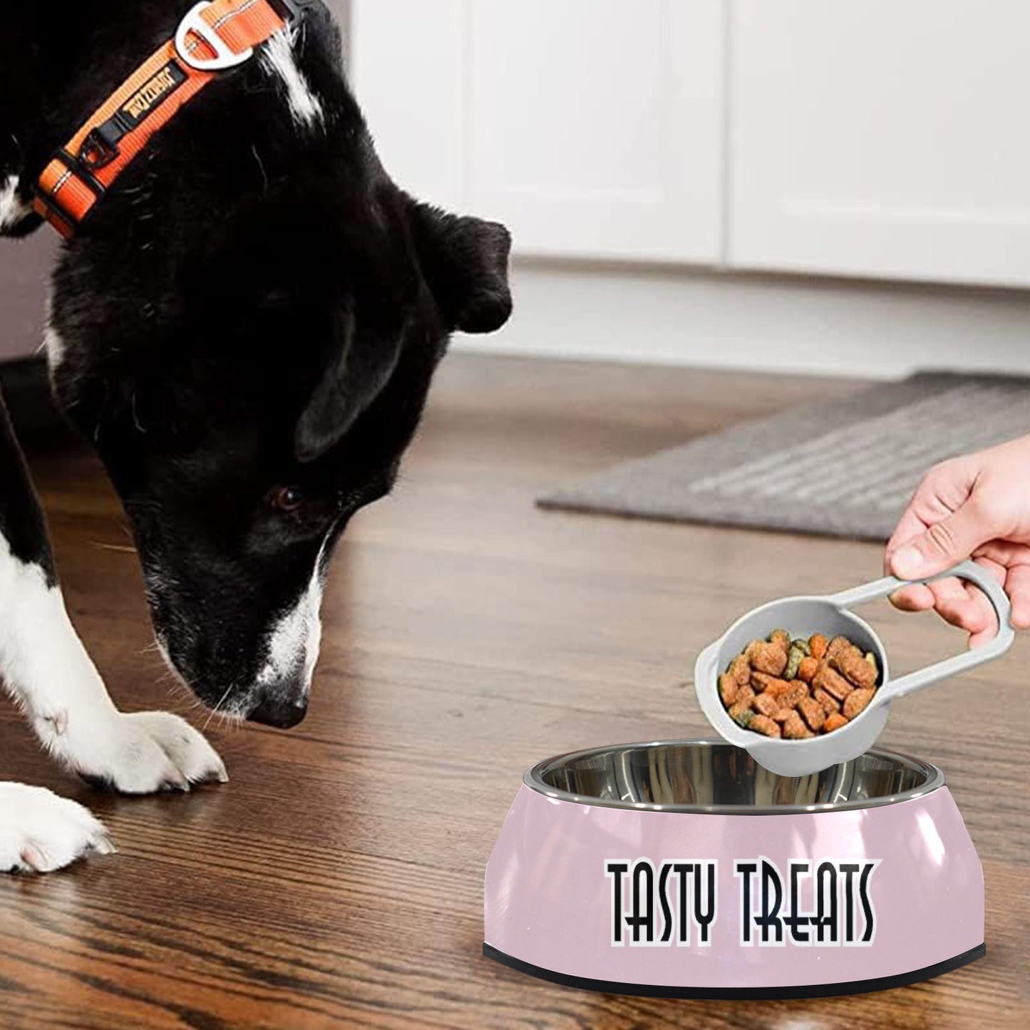 Tasty Treats Pet Bowl Pet Bowl