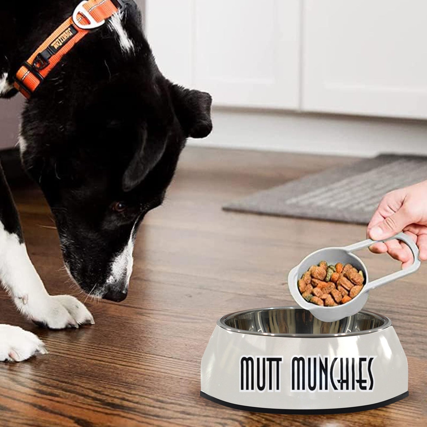 Mutt Munchies Pet Bowl Pet Bowl