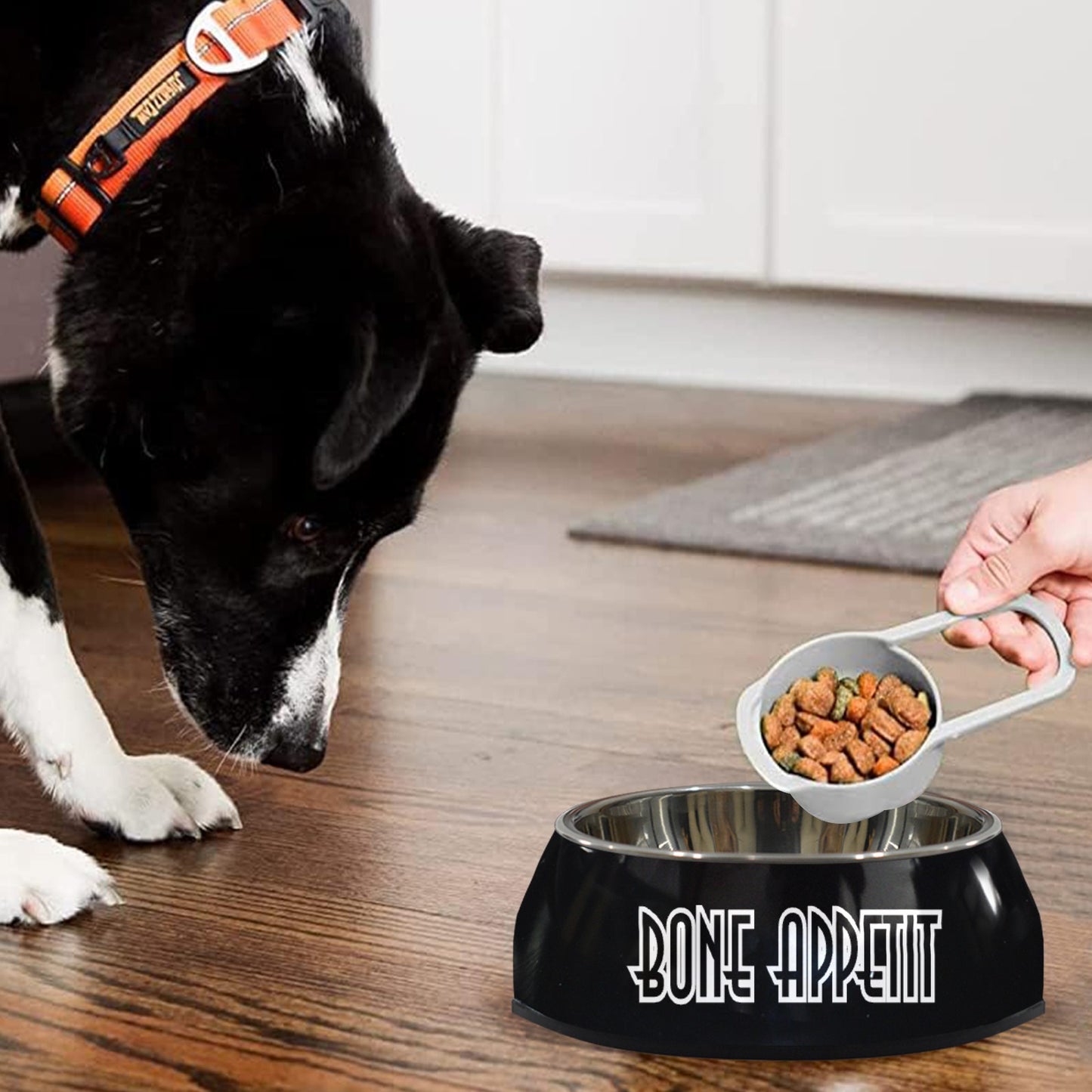 Bone Appetit Pet Bowl Pet Bowl