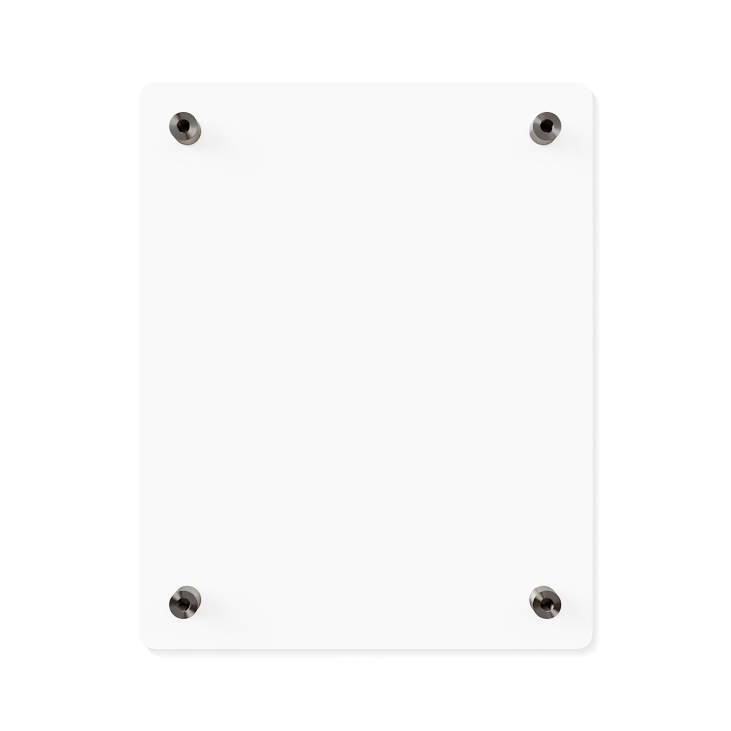Dual Faced Acrylic Wall Art Panels #DF1