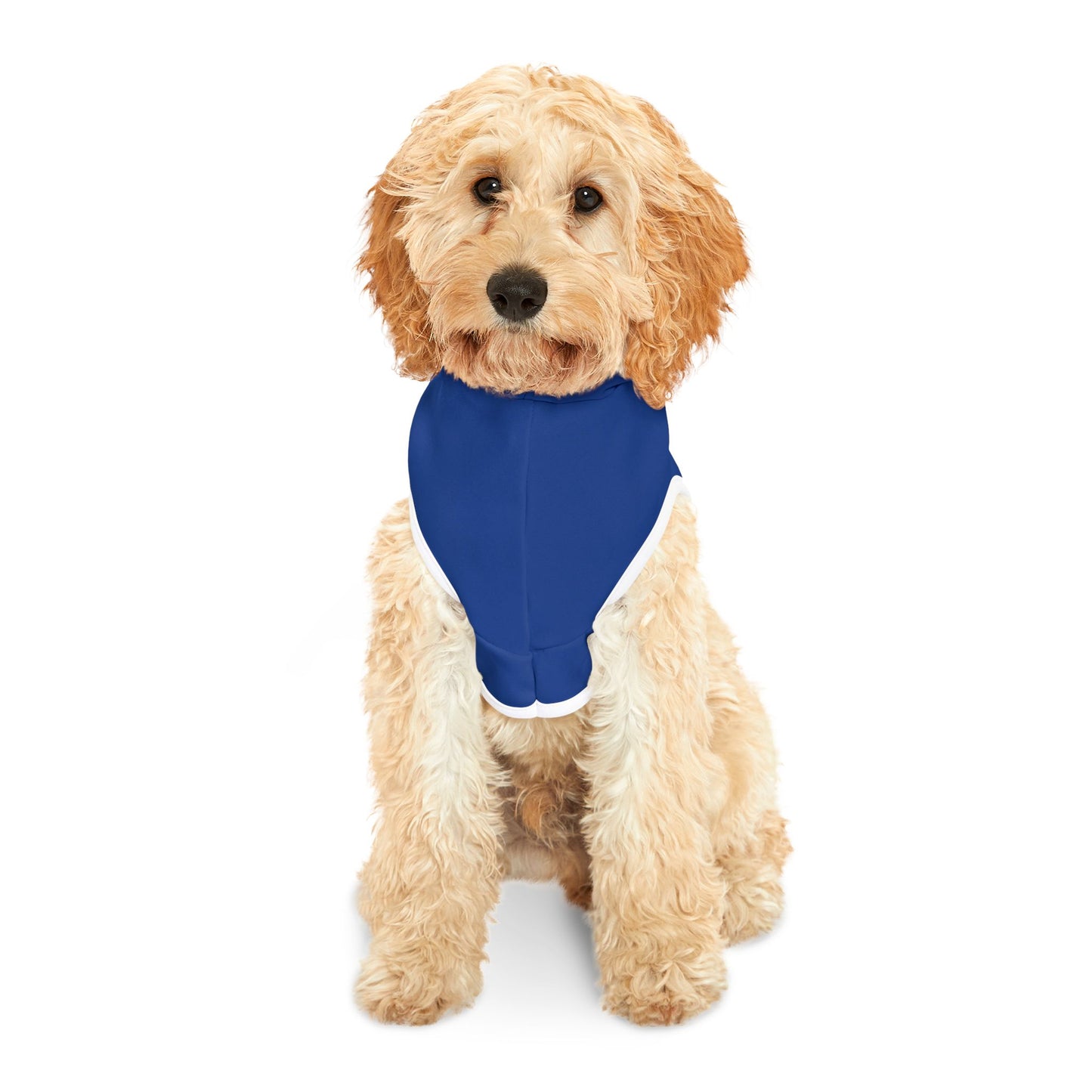 Swag Pet Hoodie #SP2