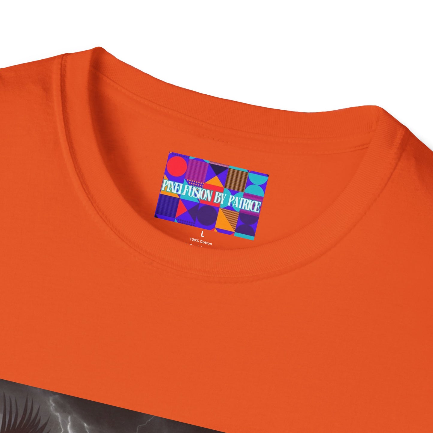 Warrior Within Unisex Softstyle T-Shirt #17U