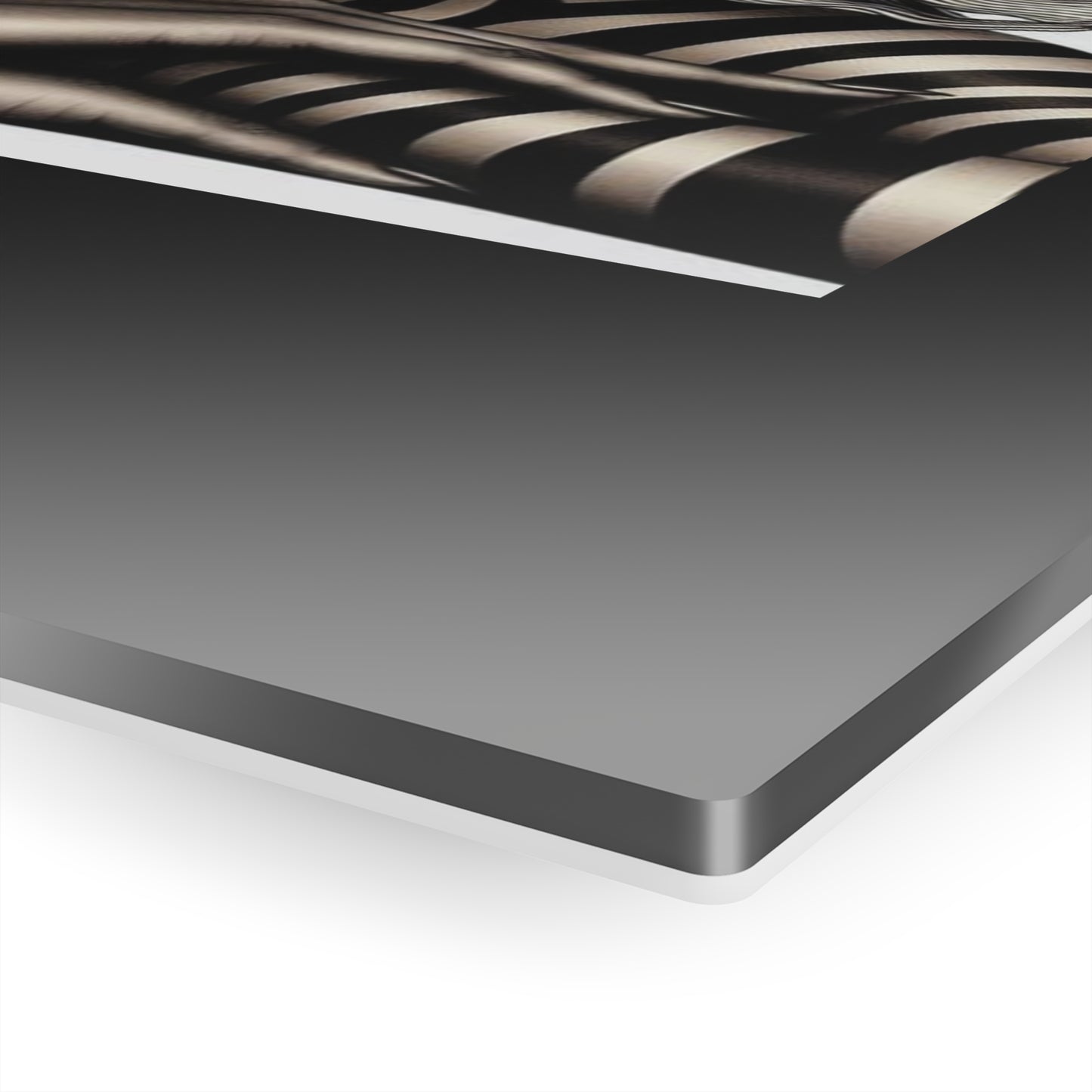 Zebra Fantasy Acrylic Prints #ZF24