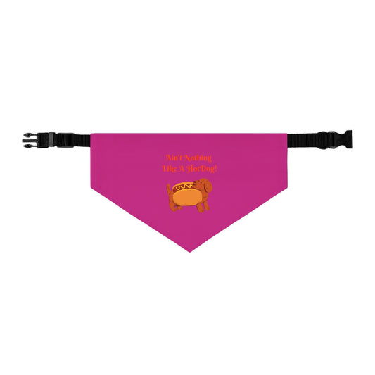 HotDog Pet Bandana Collar #HD4