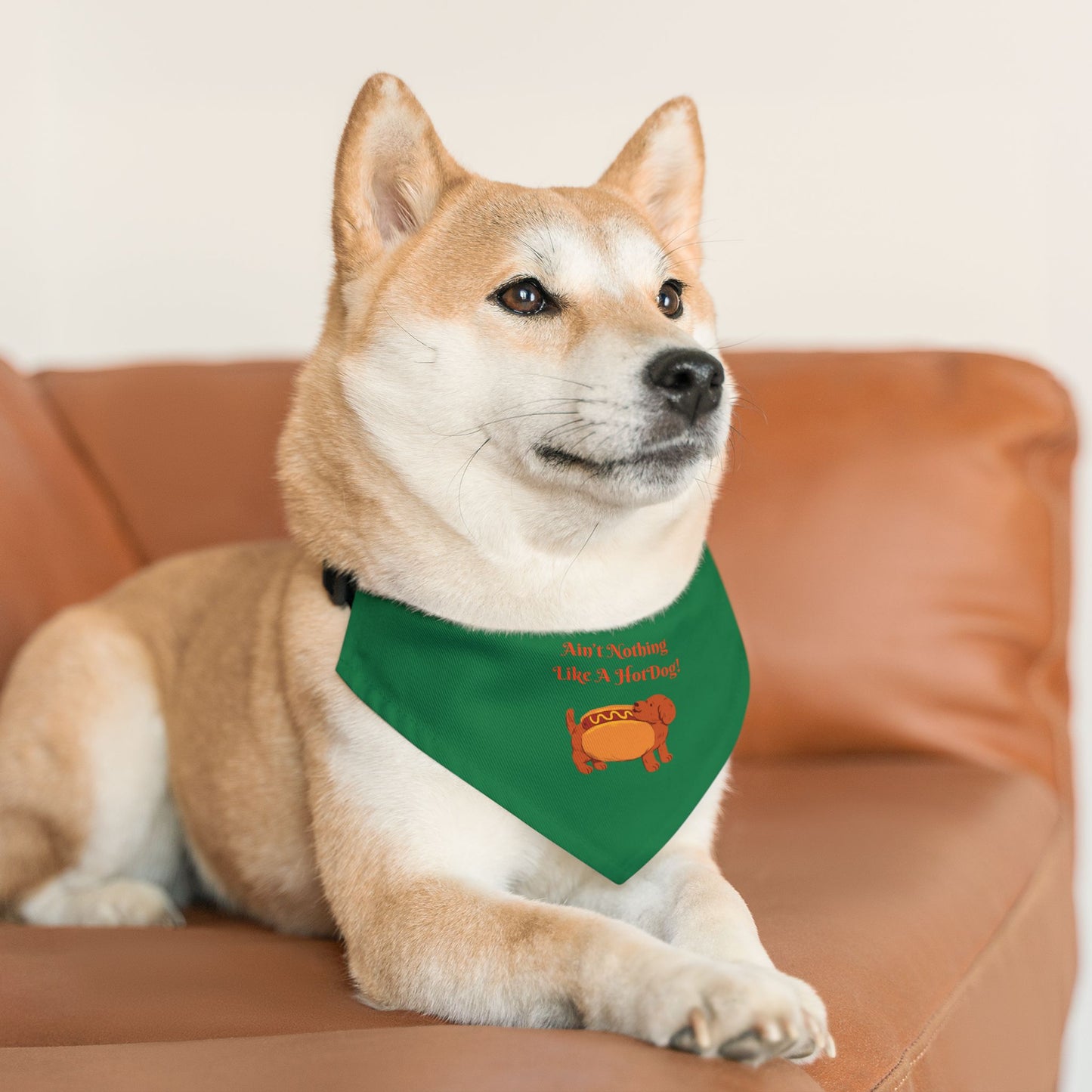 HotDog Pet Bandana Collar #HD2