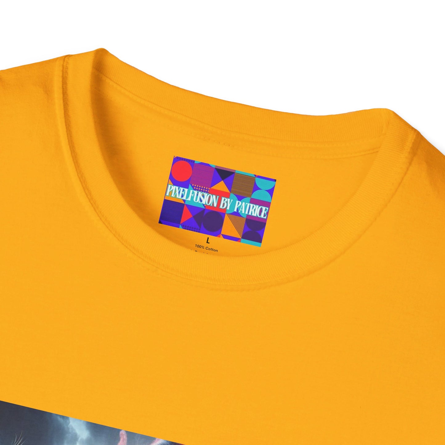 Warrior of Truth Unisex Softstyle T-Shirt #22U