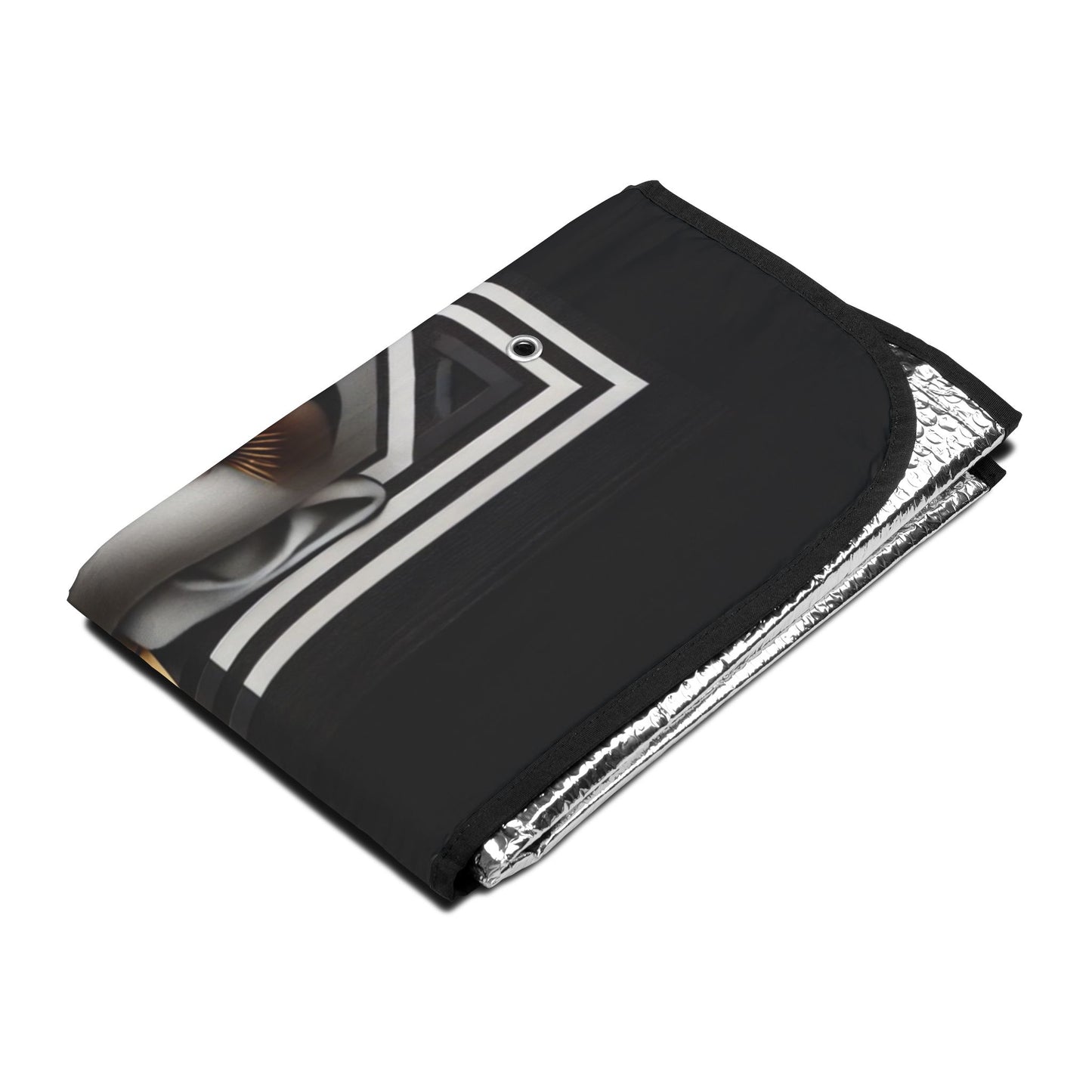 Abstract Beauty Copy of Harlem in the Night Car Sun Shades #AB1