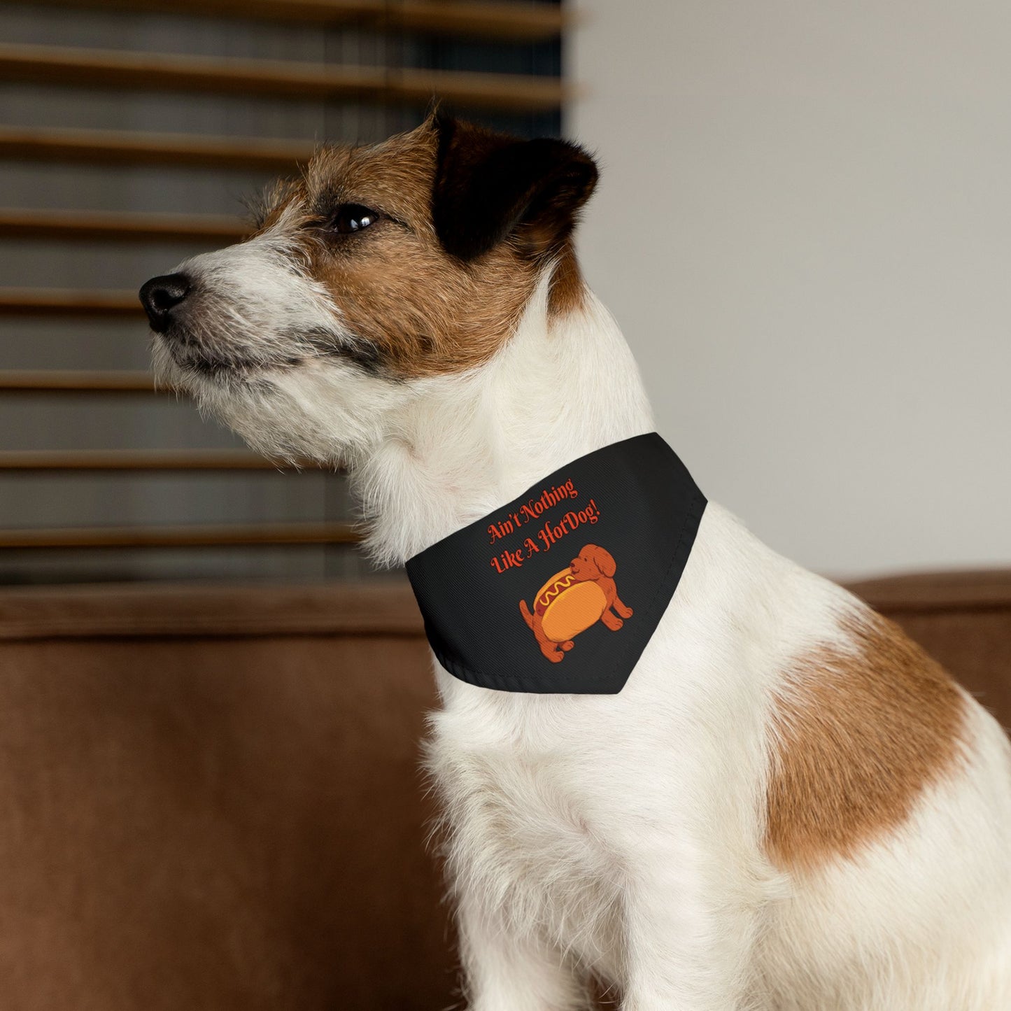 HotDog Pet Bandana Collar #HD1
