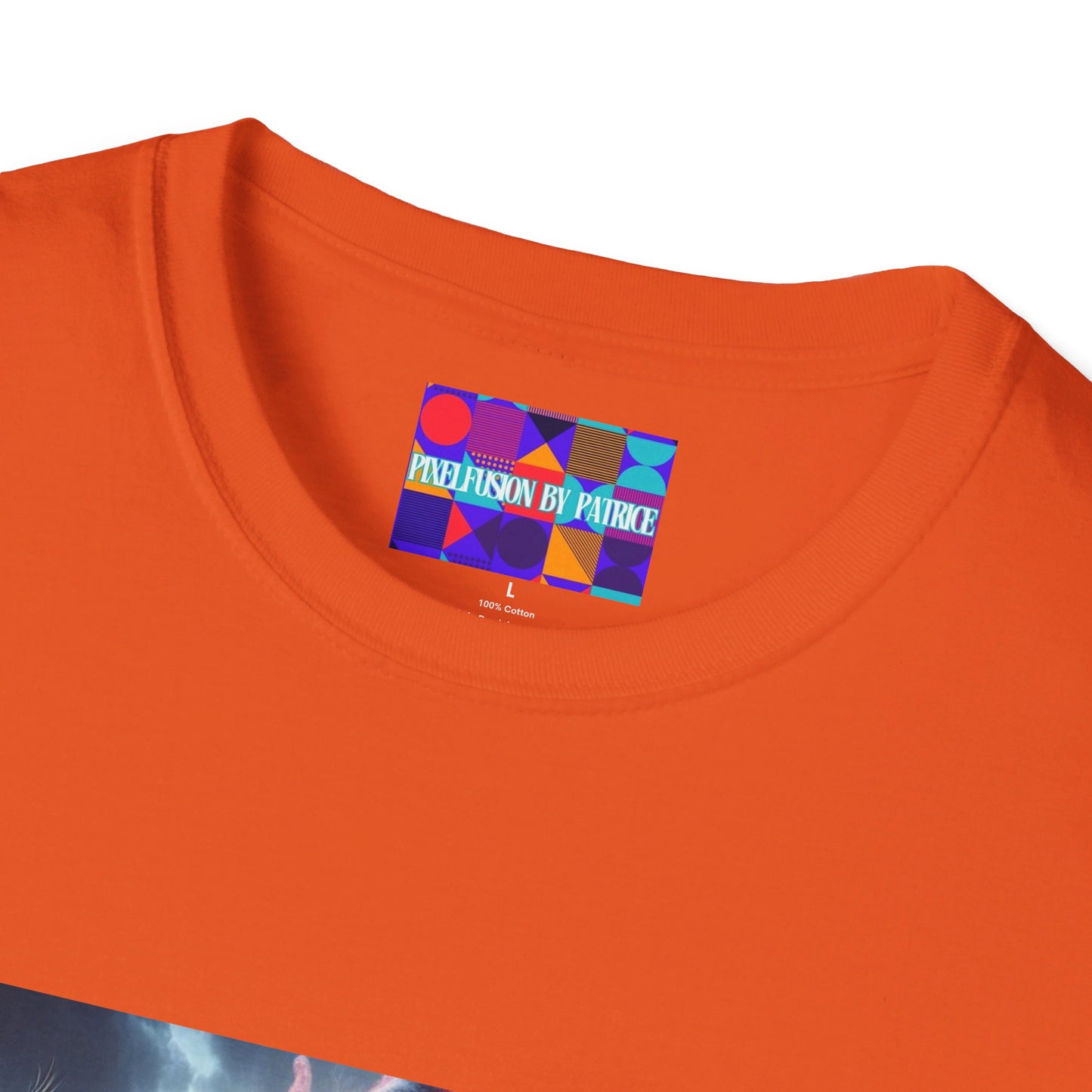 Warrior of Truth Unisex Softstyle T-Shirt #22U