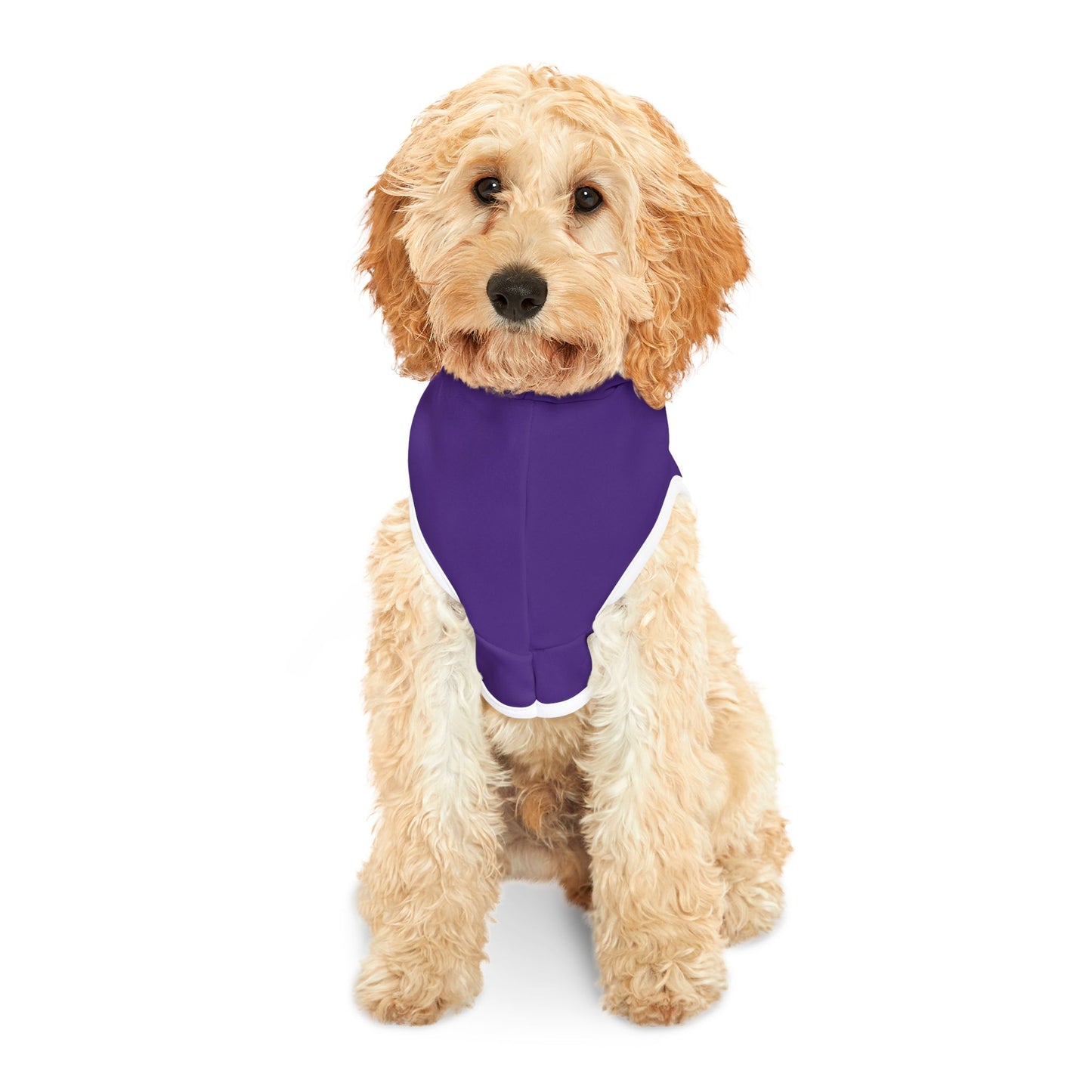 Swag Pet Hoodie #SP1