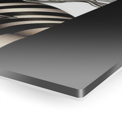 Zebra Fantasy Acrylic Prints #ZF24
