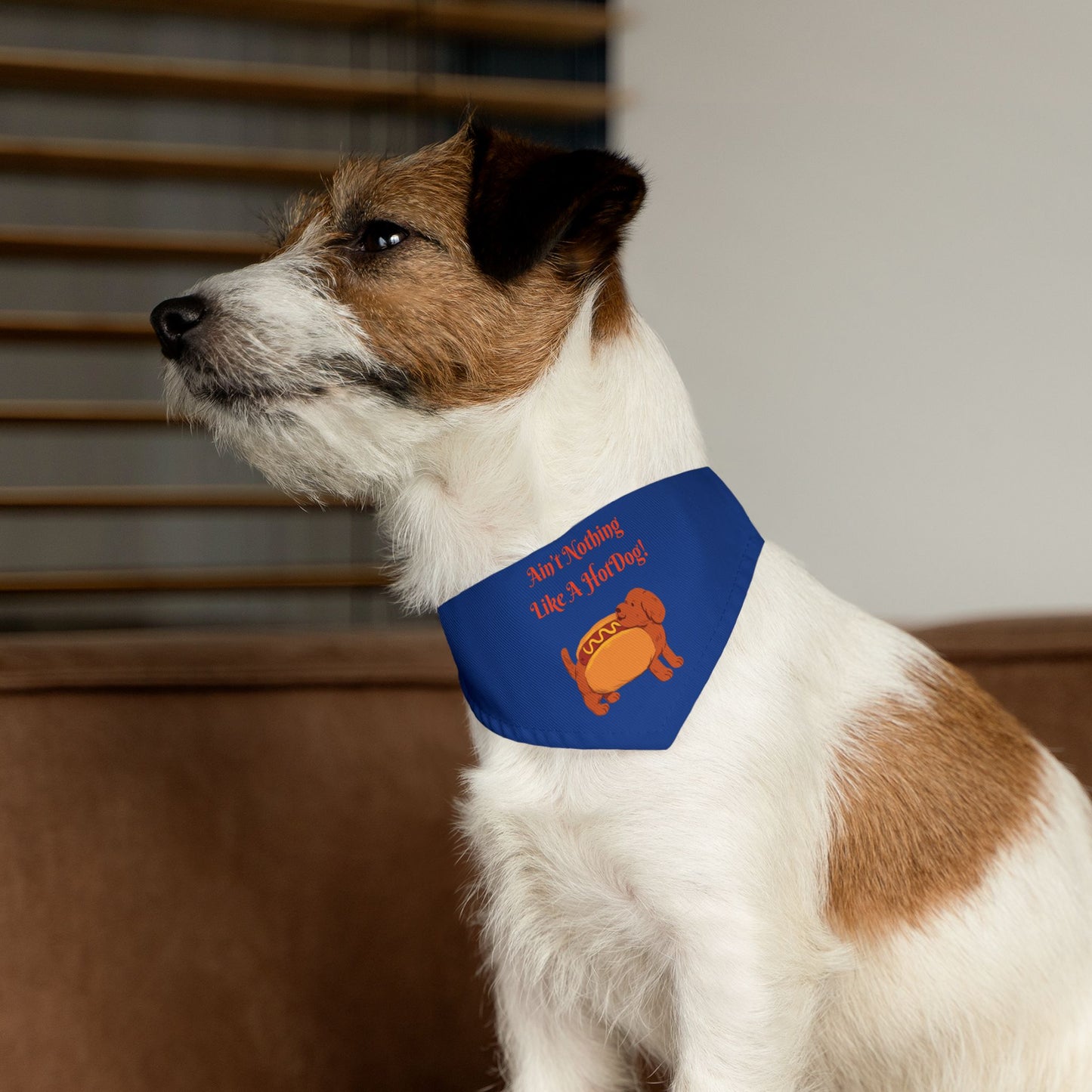 HotDog Pet Bandana Collar #HD5