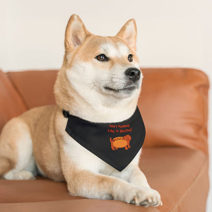 HotDog Pet Bandana Collar #HD1