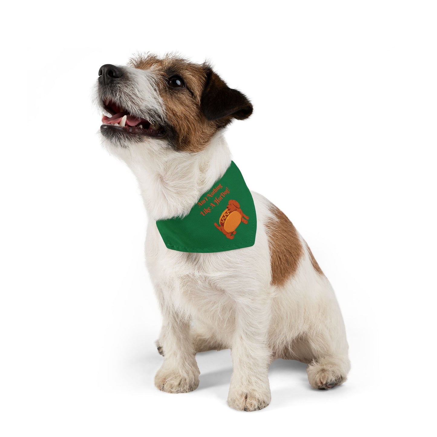 HotDog Pet Bandana Collar #HD2