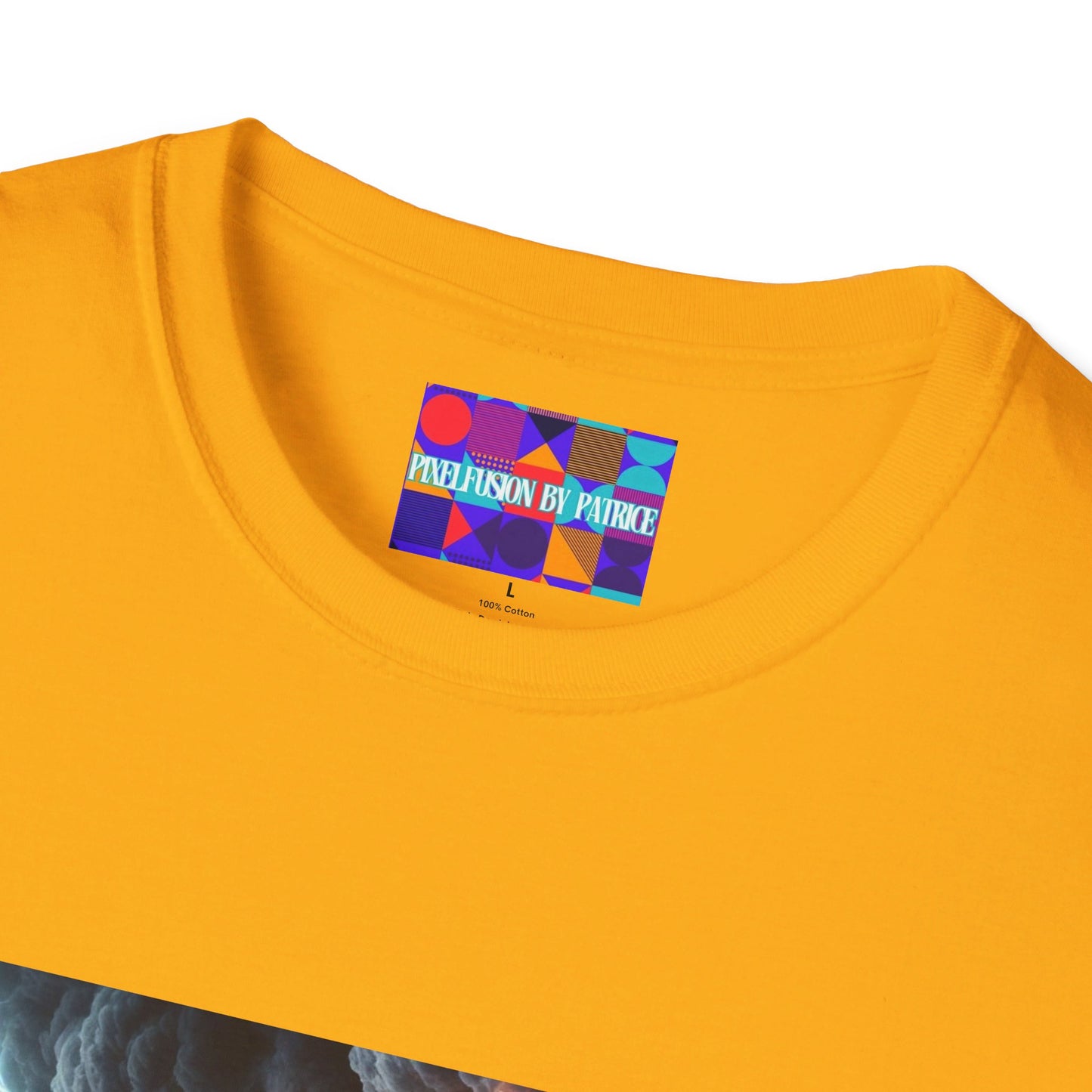 Warrior of Purpose Unisex Softstyle T-Shirt #24U