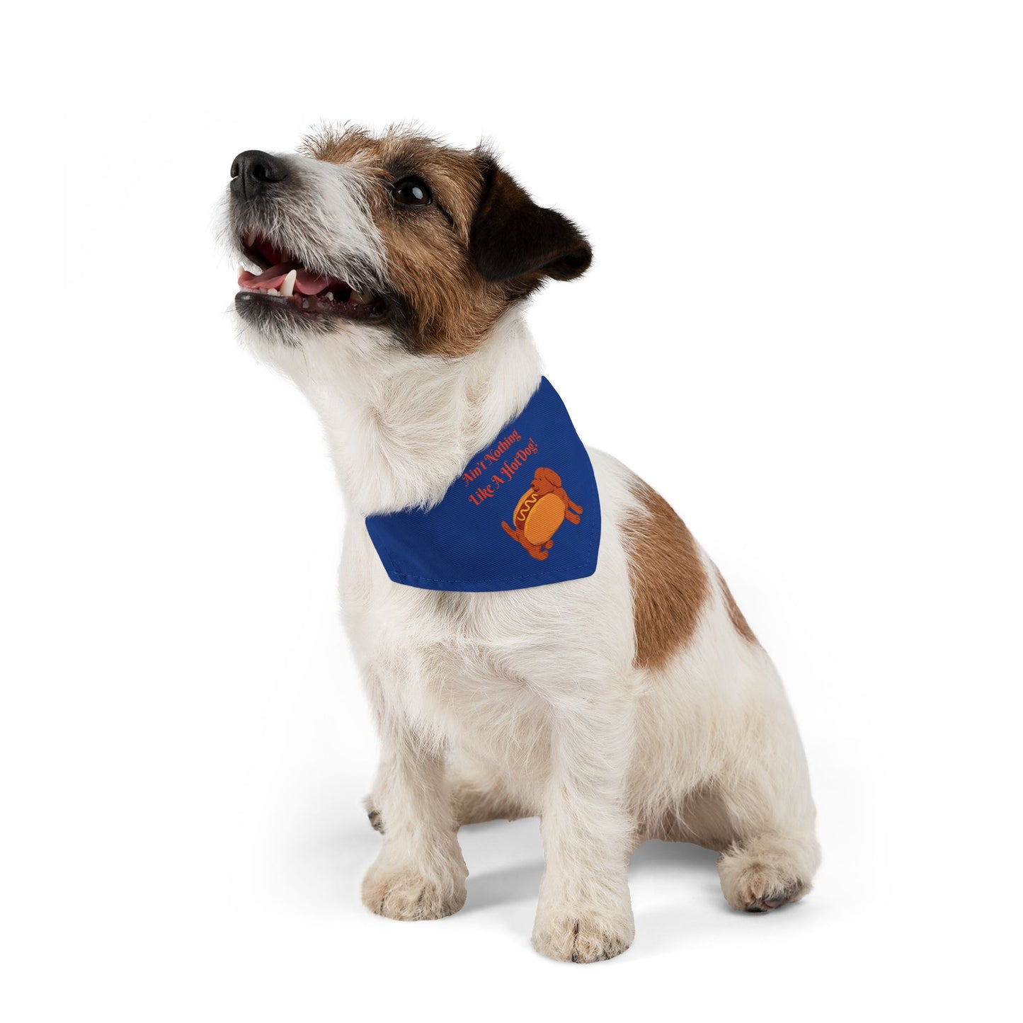 HotDog Pet Bandana Collar #HD5