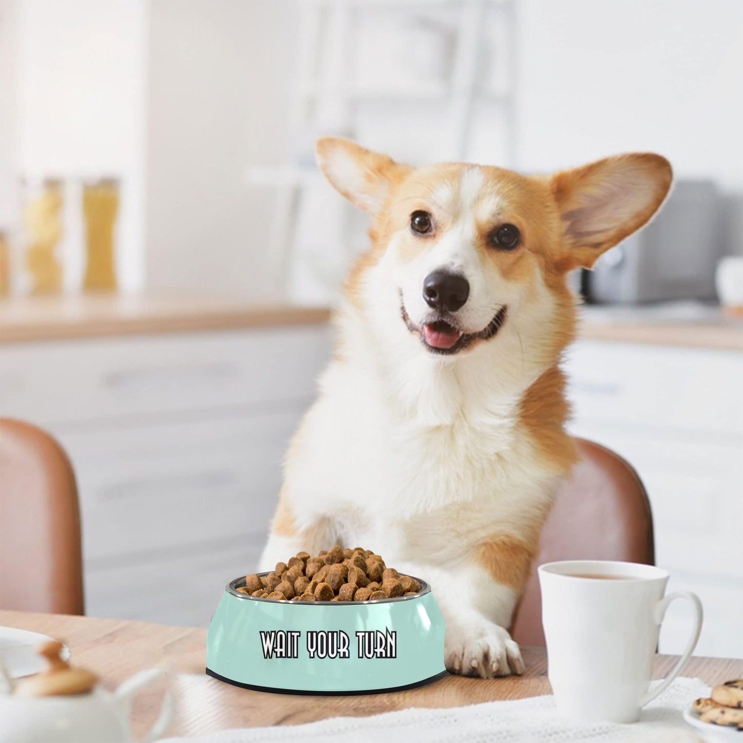 Wait Your Turn Pet Bowl Pet Bowl