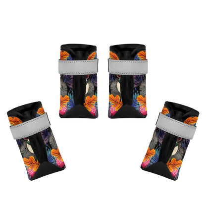 Dog Boots & Paw Protectors