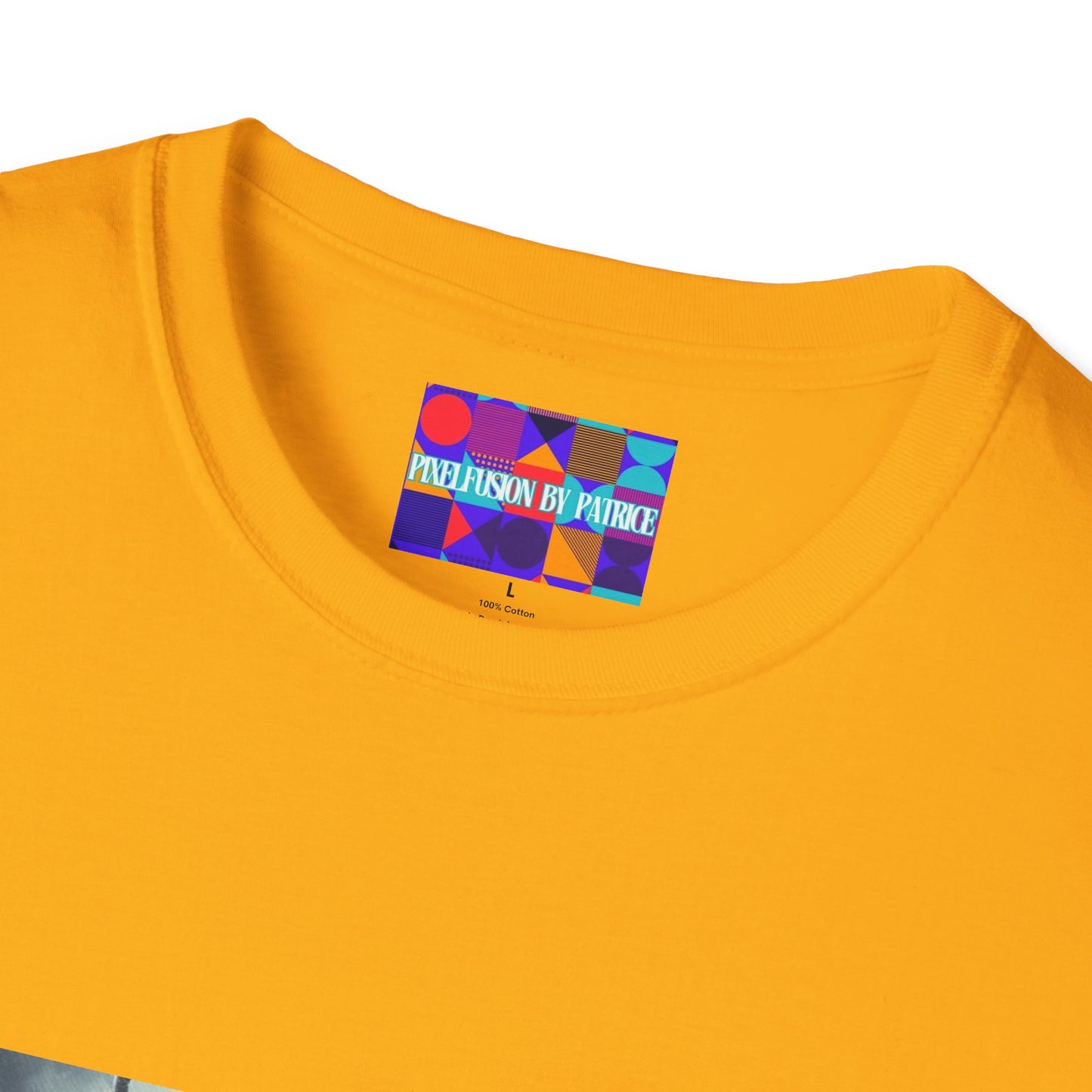 Warrior on a Mission Unisex Softstyle T-Shirt #27U