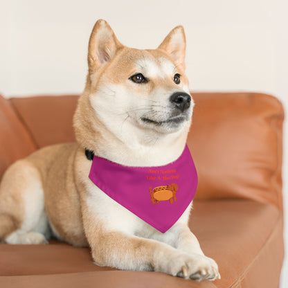 HotDog Pet Bandana Collar #HD4